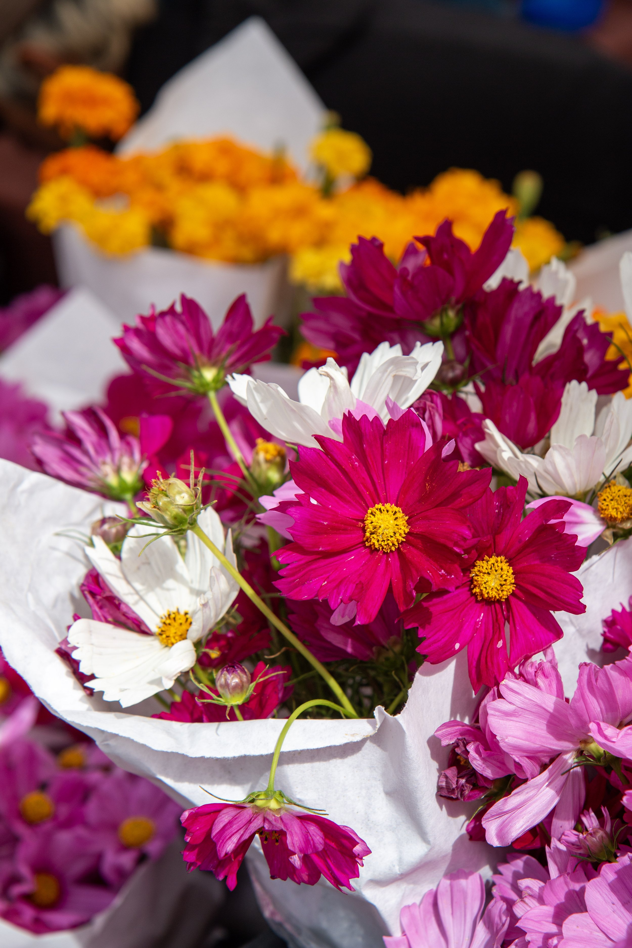 118-IMG_9229.jpg