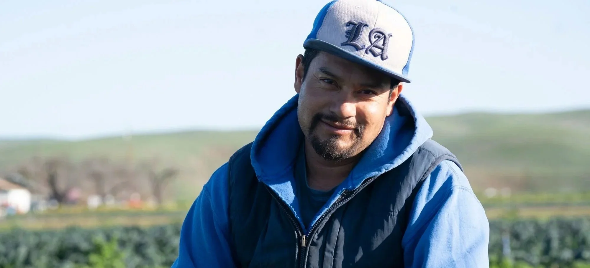 Los Pinos Organic