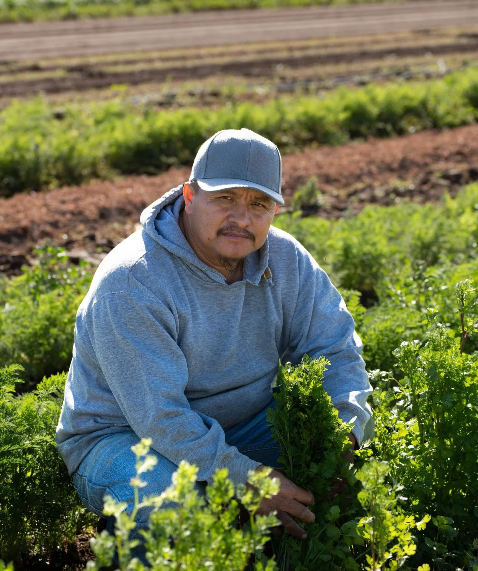 Ayoquezco Organic Produce