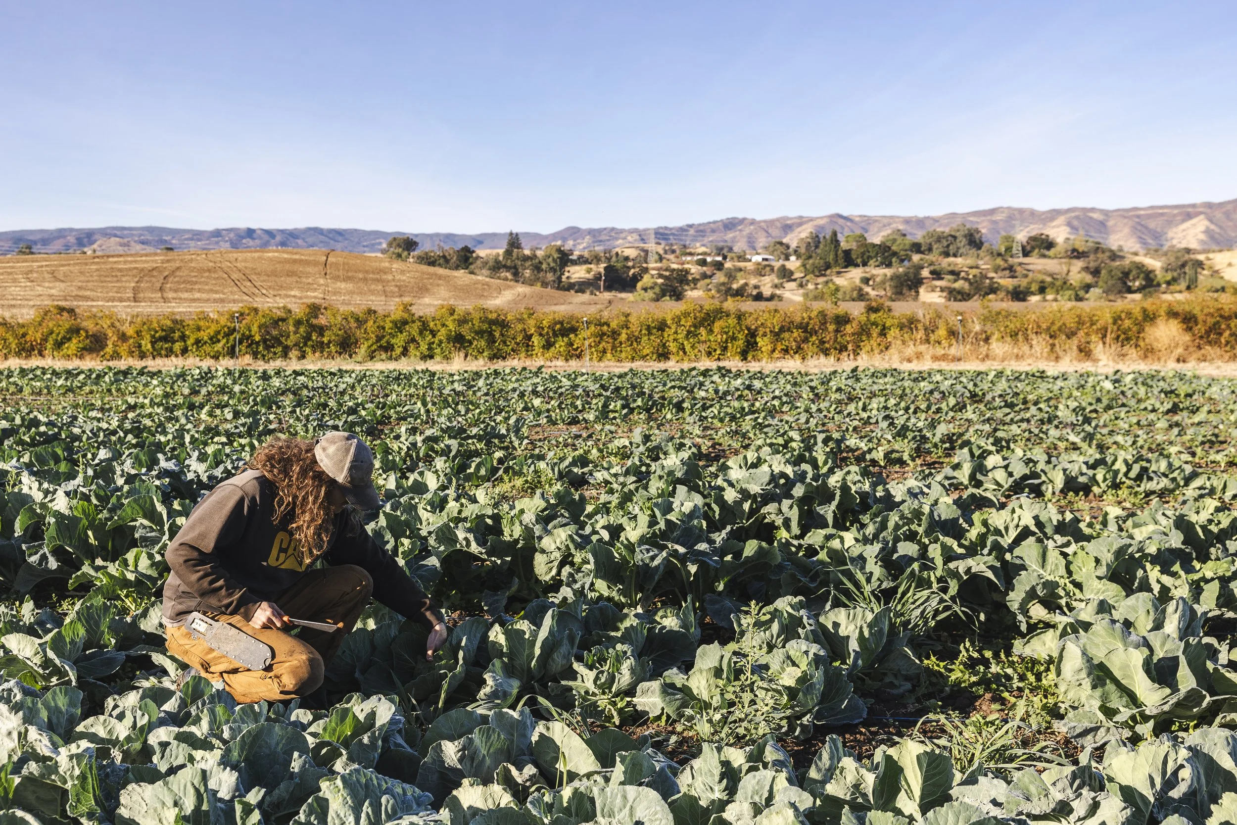 KJoyPhoto_KTA-FarmboyOrg_46157.jpg
