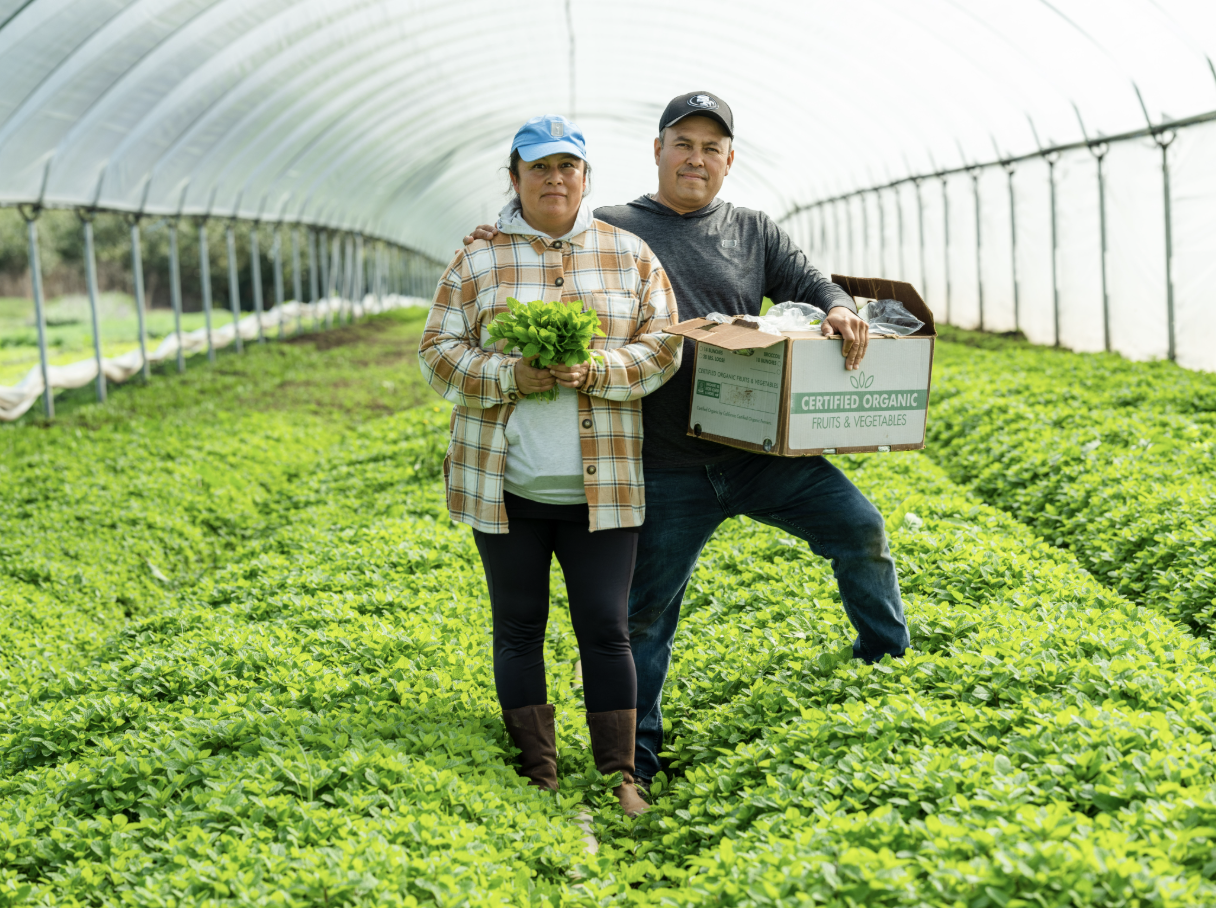 Buena Vista Organics
