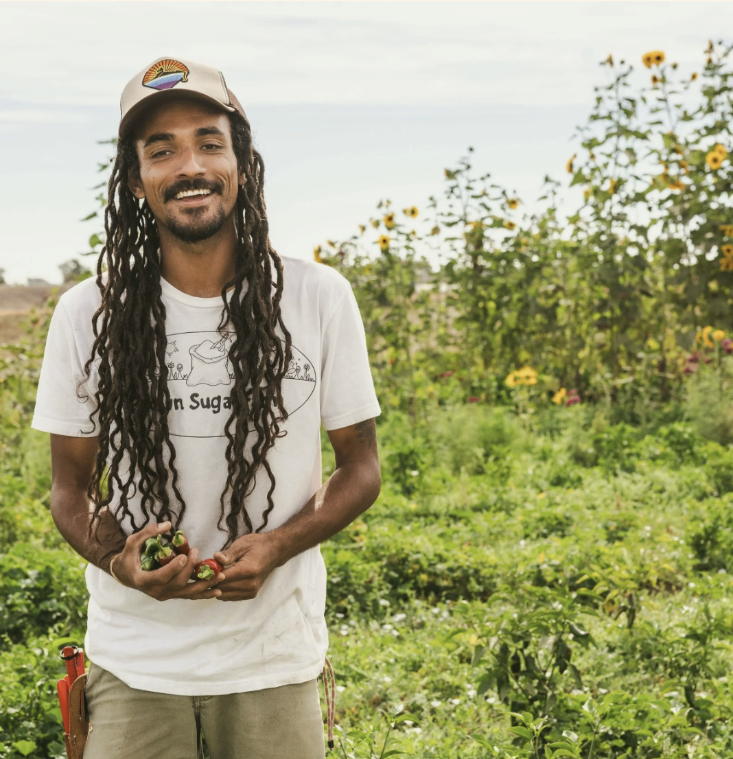 Brown Sugar Farm