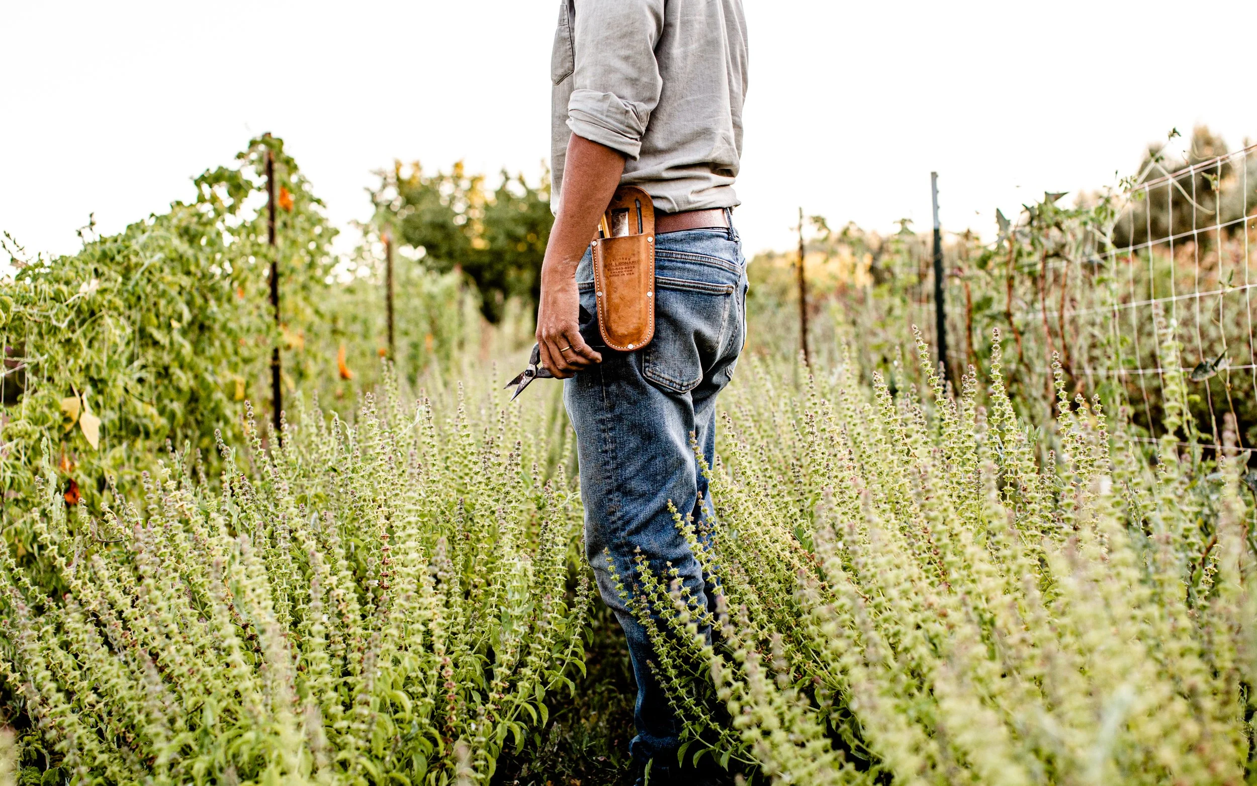 2019.09_NamuFarm_PC-NicolaParisi_96.jpg