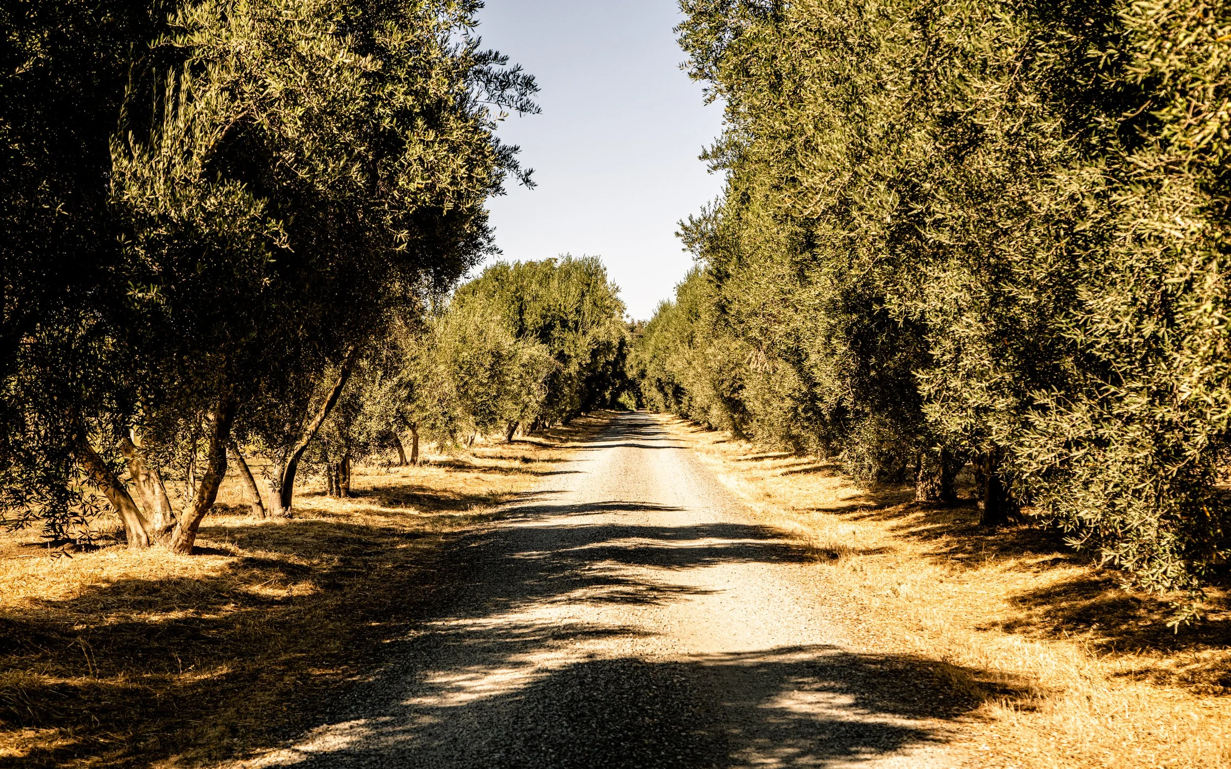 2019.09_NamuFarm_PC-NicolaParisi_1.jpg
