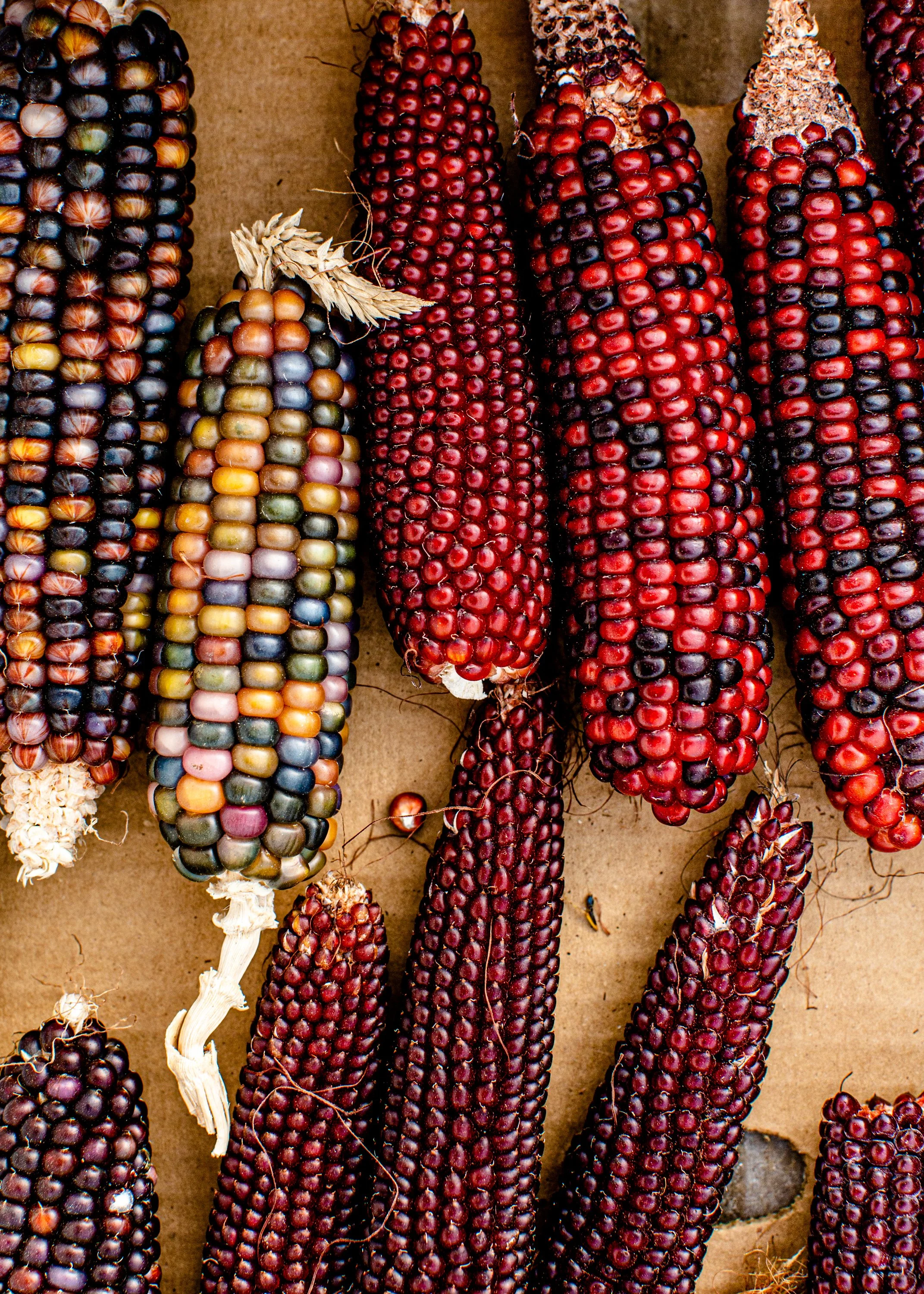 2019.09_NamuFarm_PC-NicolaParisi_40.jpg