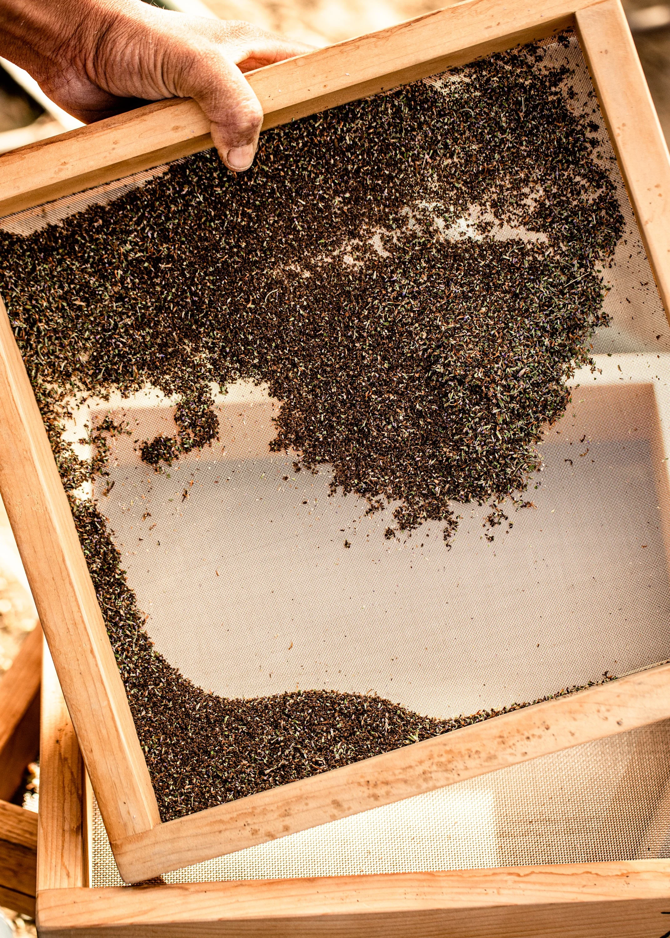 2019.09_NamuFarm_PC-NicolaParisi_79.jpg