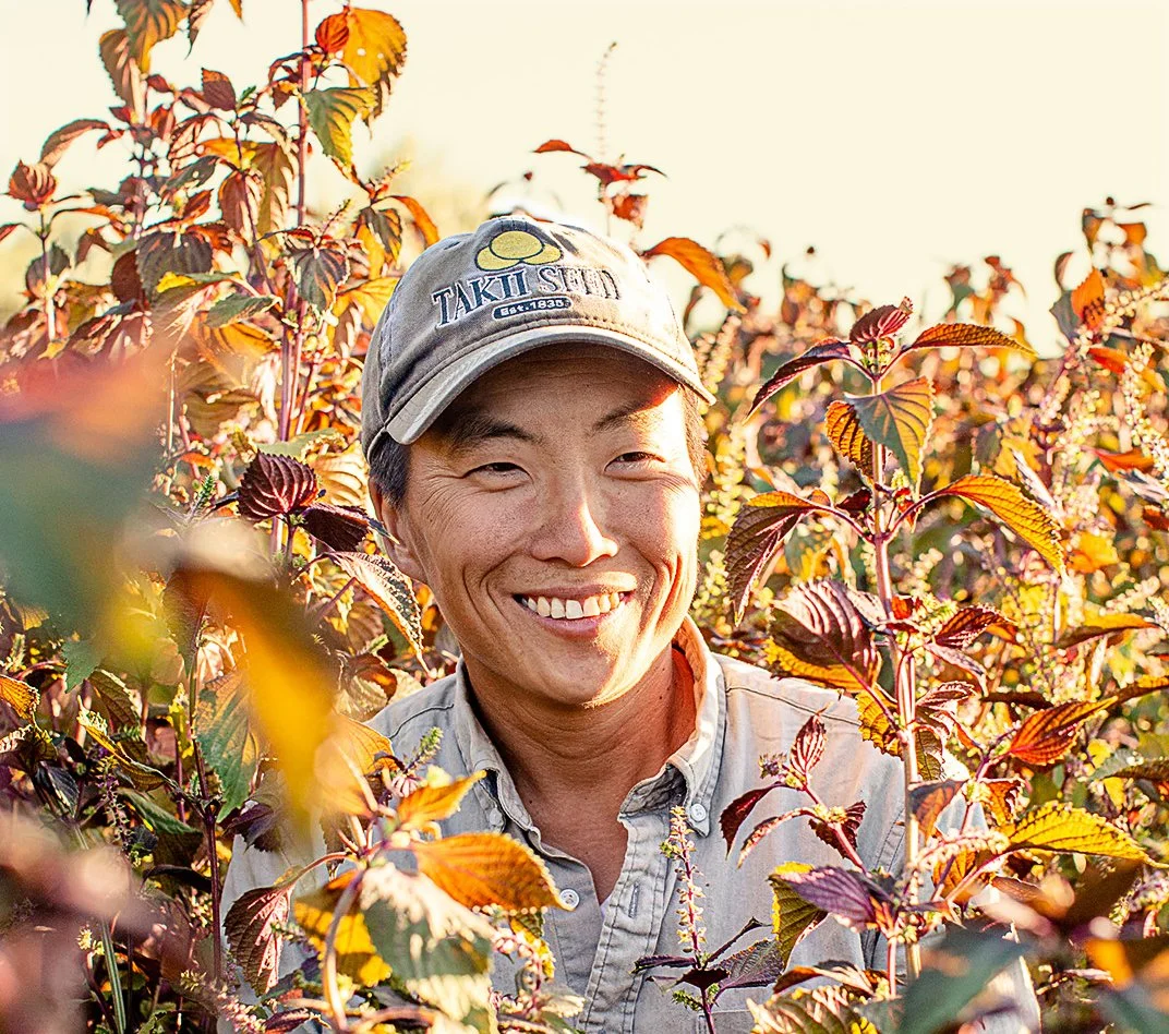 Gohyang Farm
