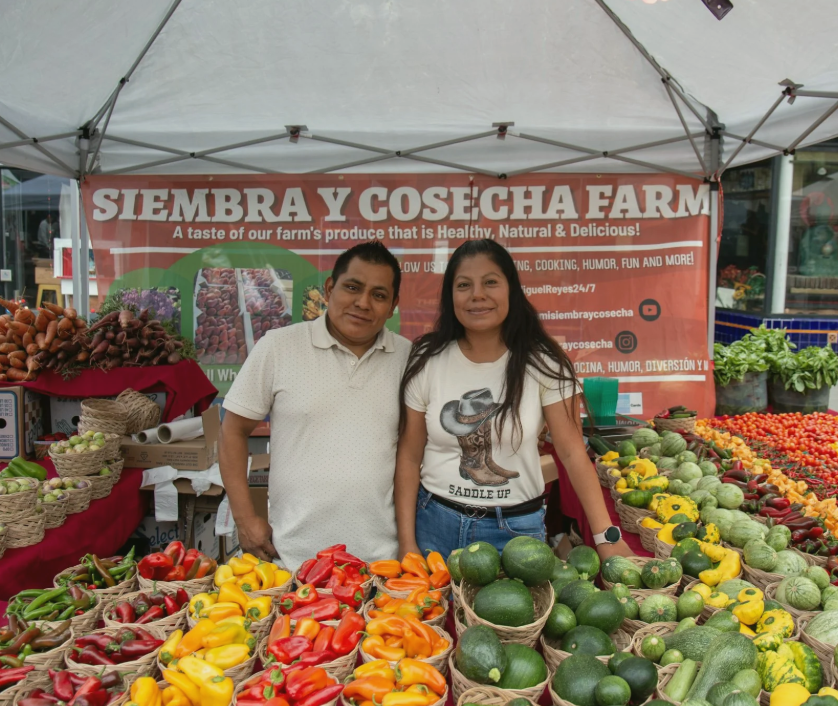 Siembra y Cosecha Farm