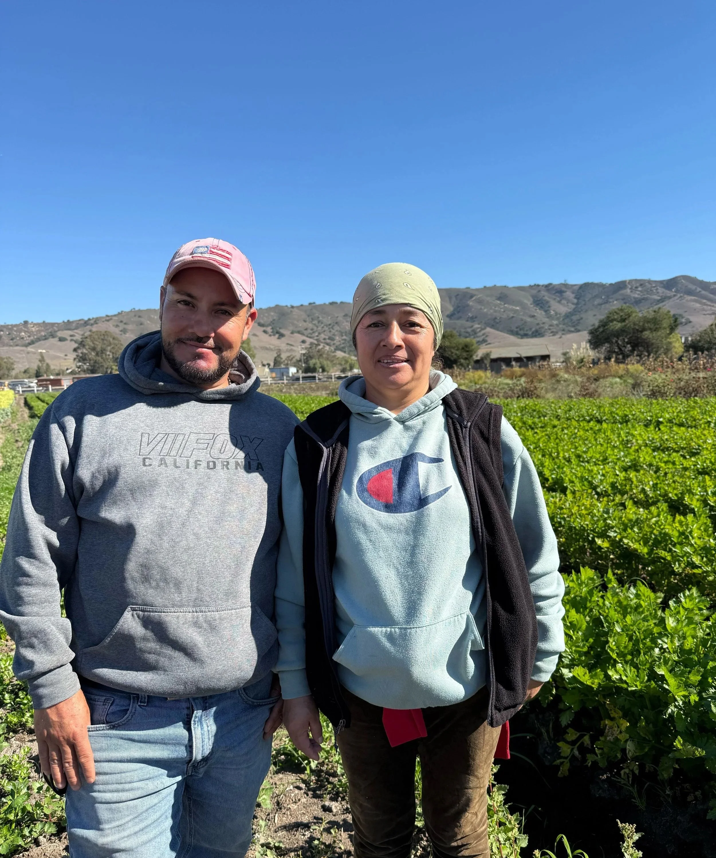 Tierra H&amp;R Organic