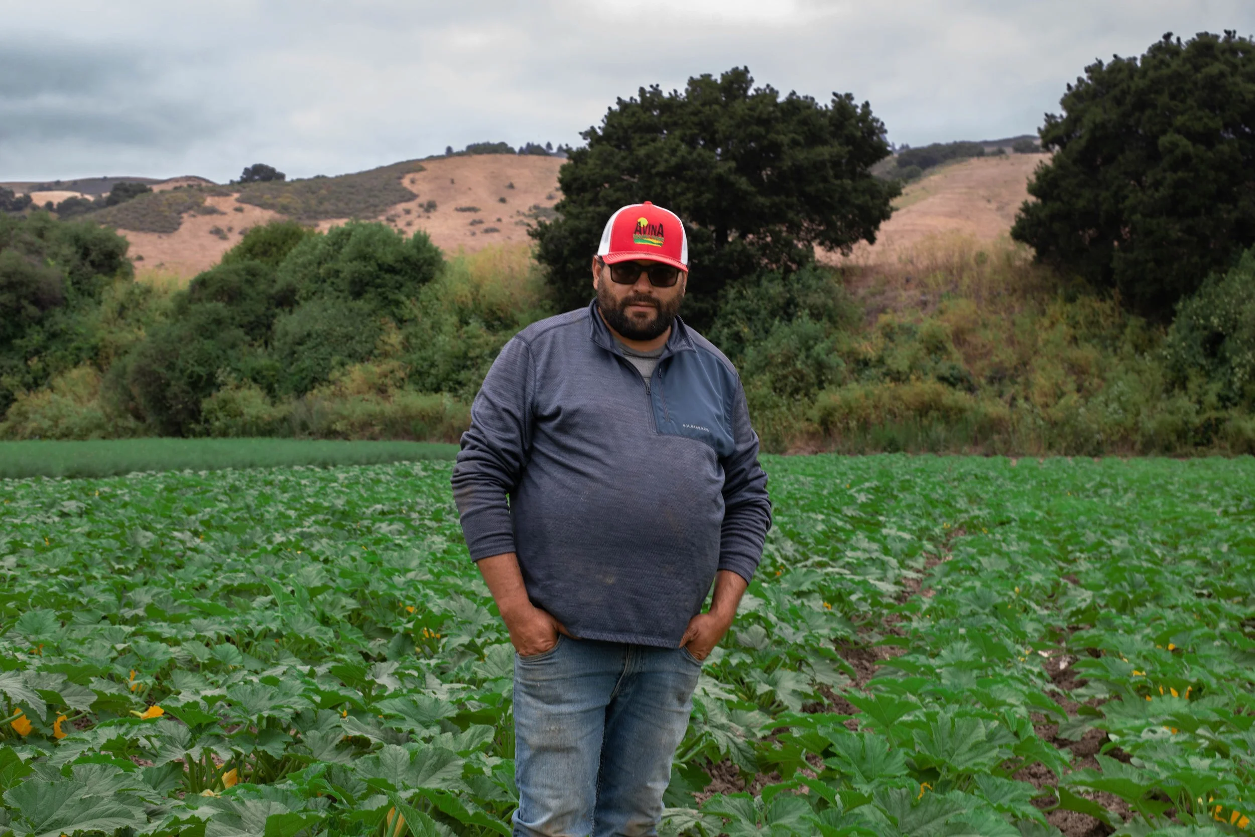 Aviña Organics