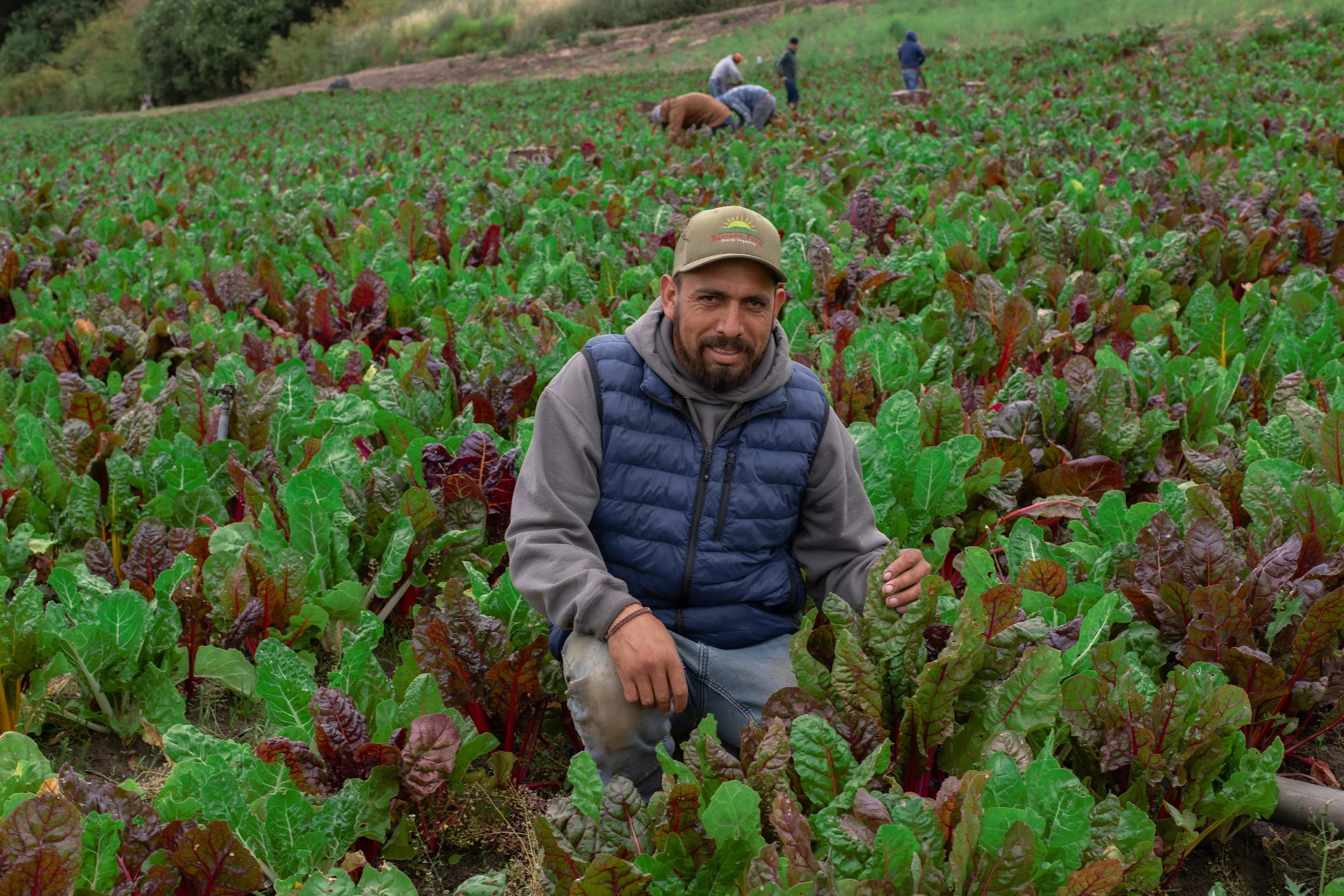 Barraza Farms