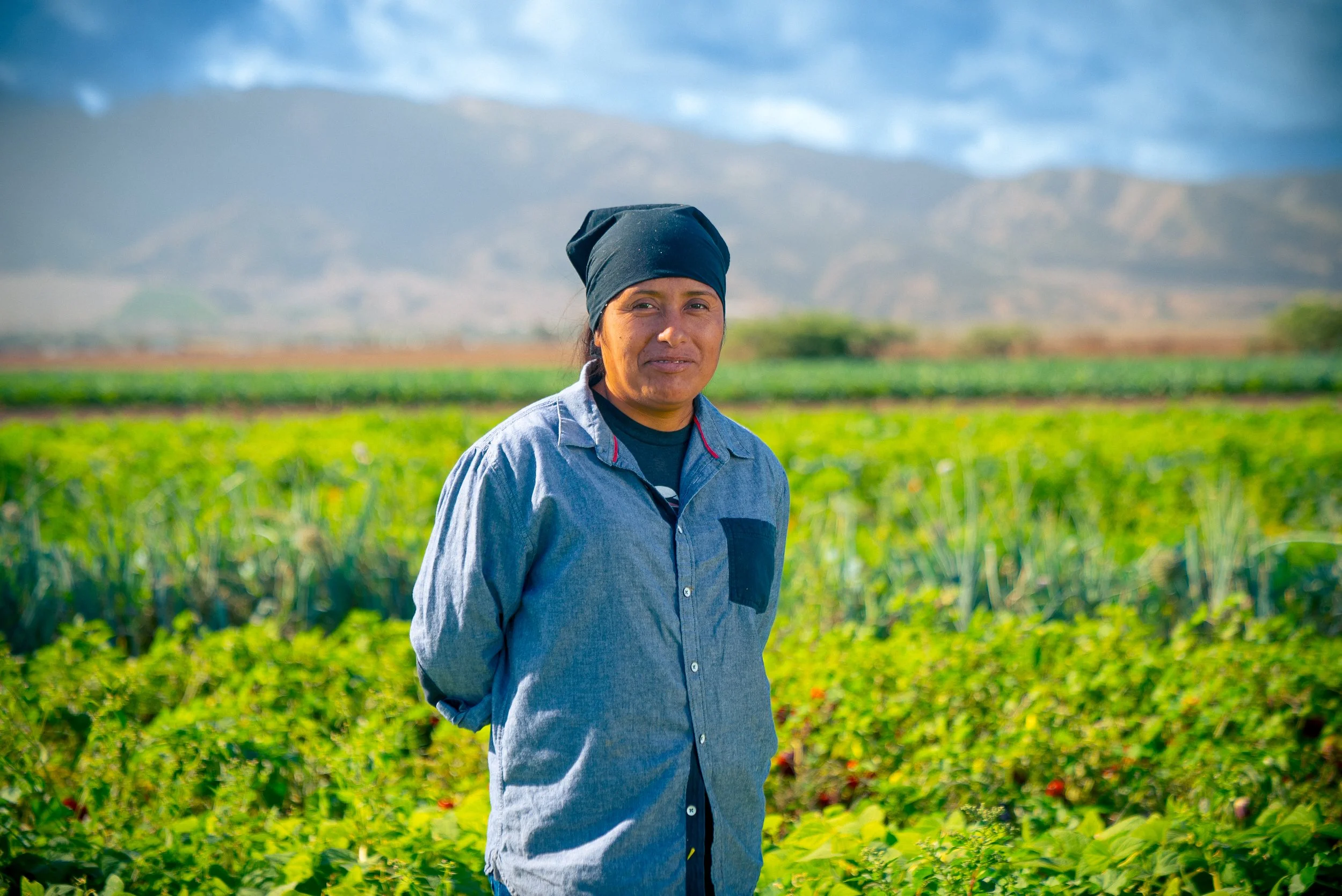 Induchucuiti Organic Farm