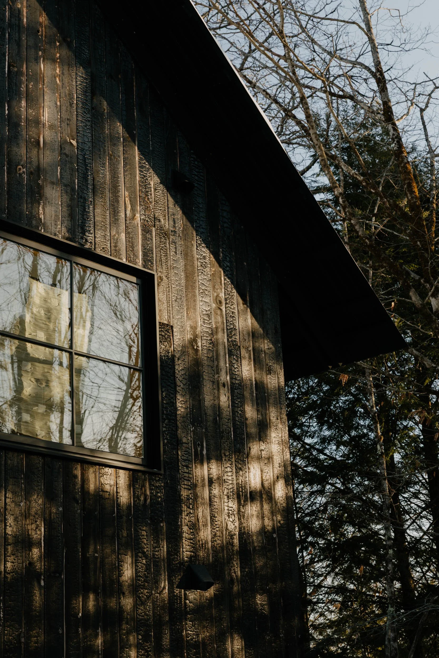 High Performance Toast House Yaki Sugi Siding.jpeg