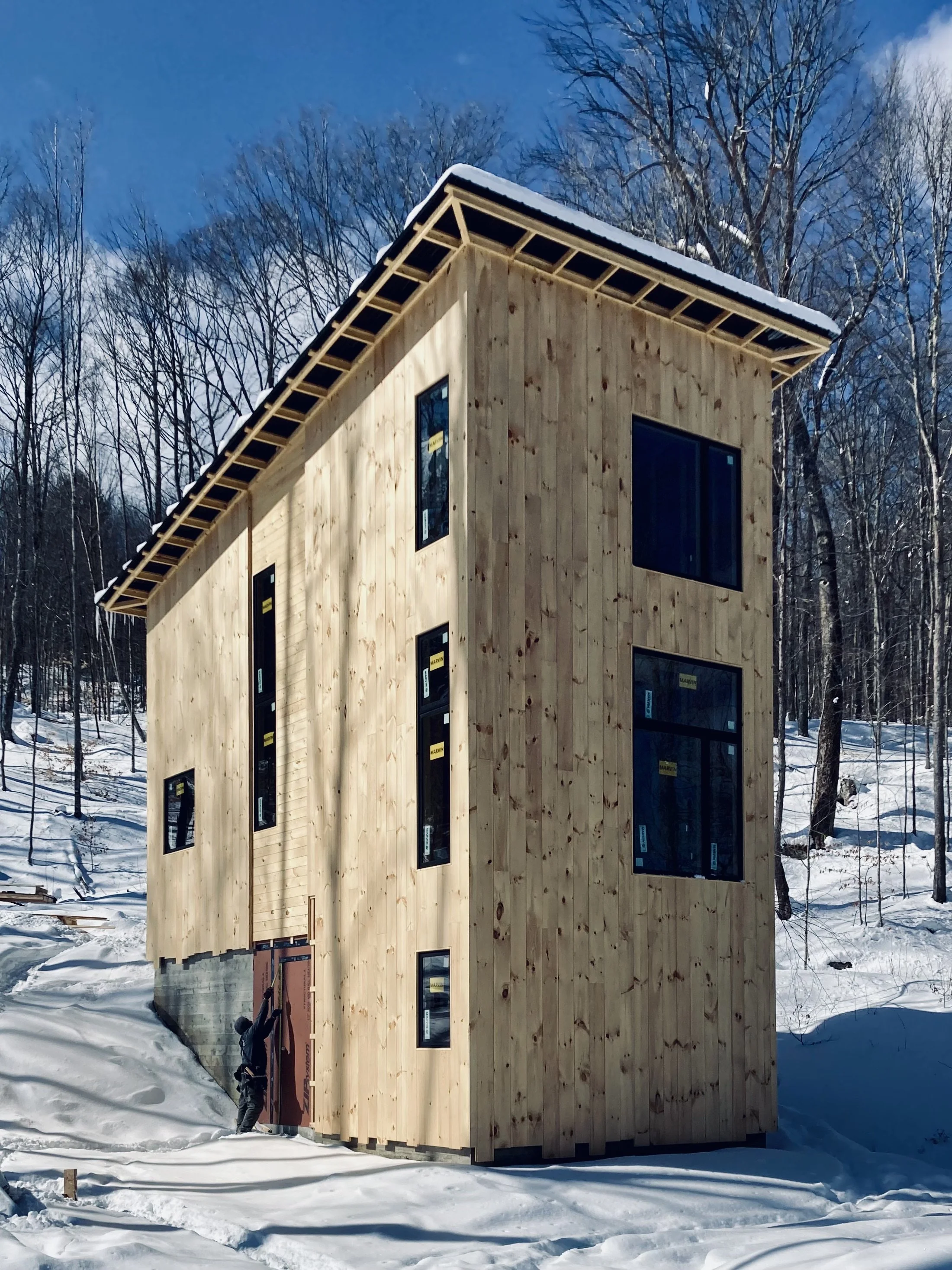 Tiny Tower Pine Construction Process.jpeg