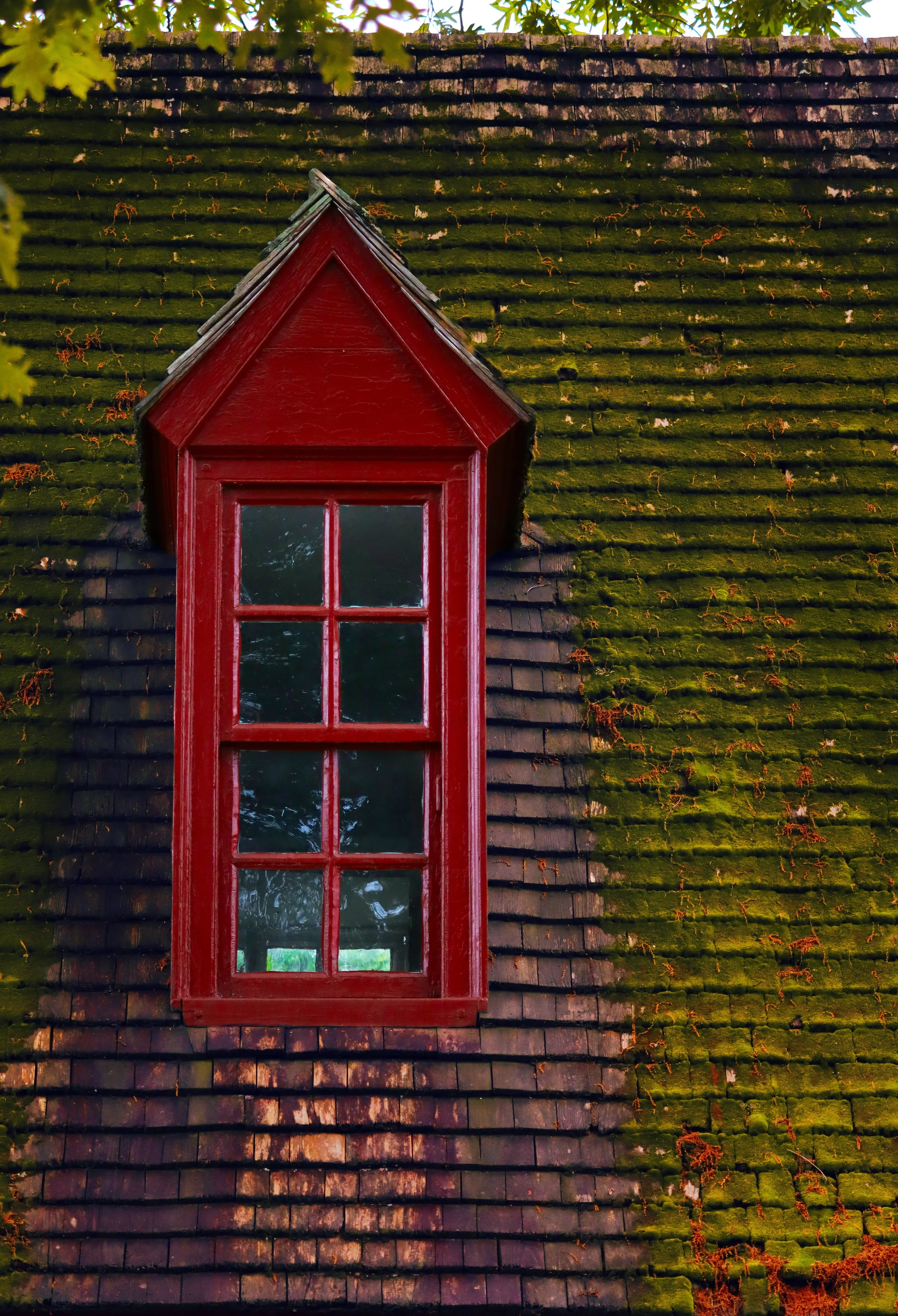 A red window with a decorative roof on a moss-covered rooftop.