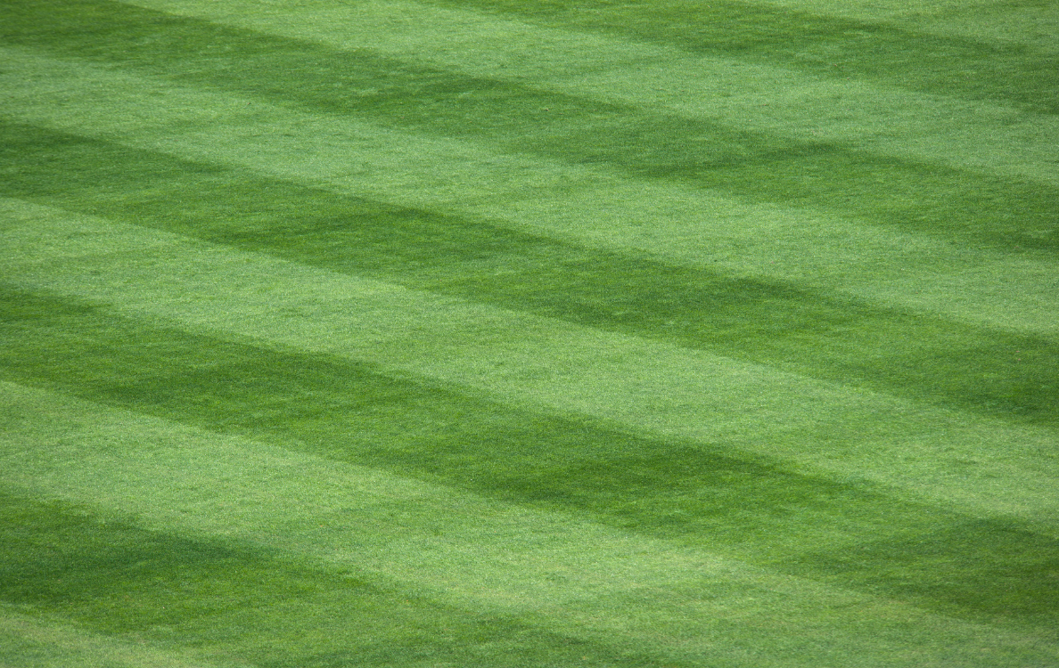 Close-up view of a well-maintained green grass lawn, with alternating lighter and darker green stripes.