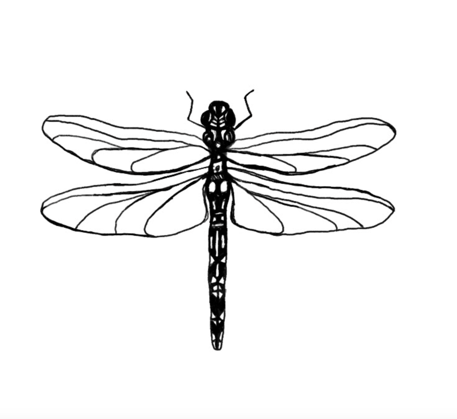 Screenshot 2026-04-16 at 7.57.04 PM.png