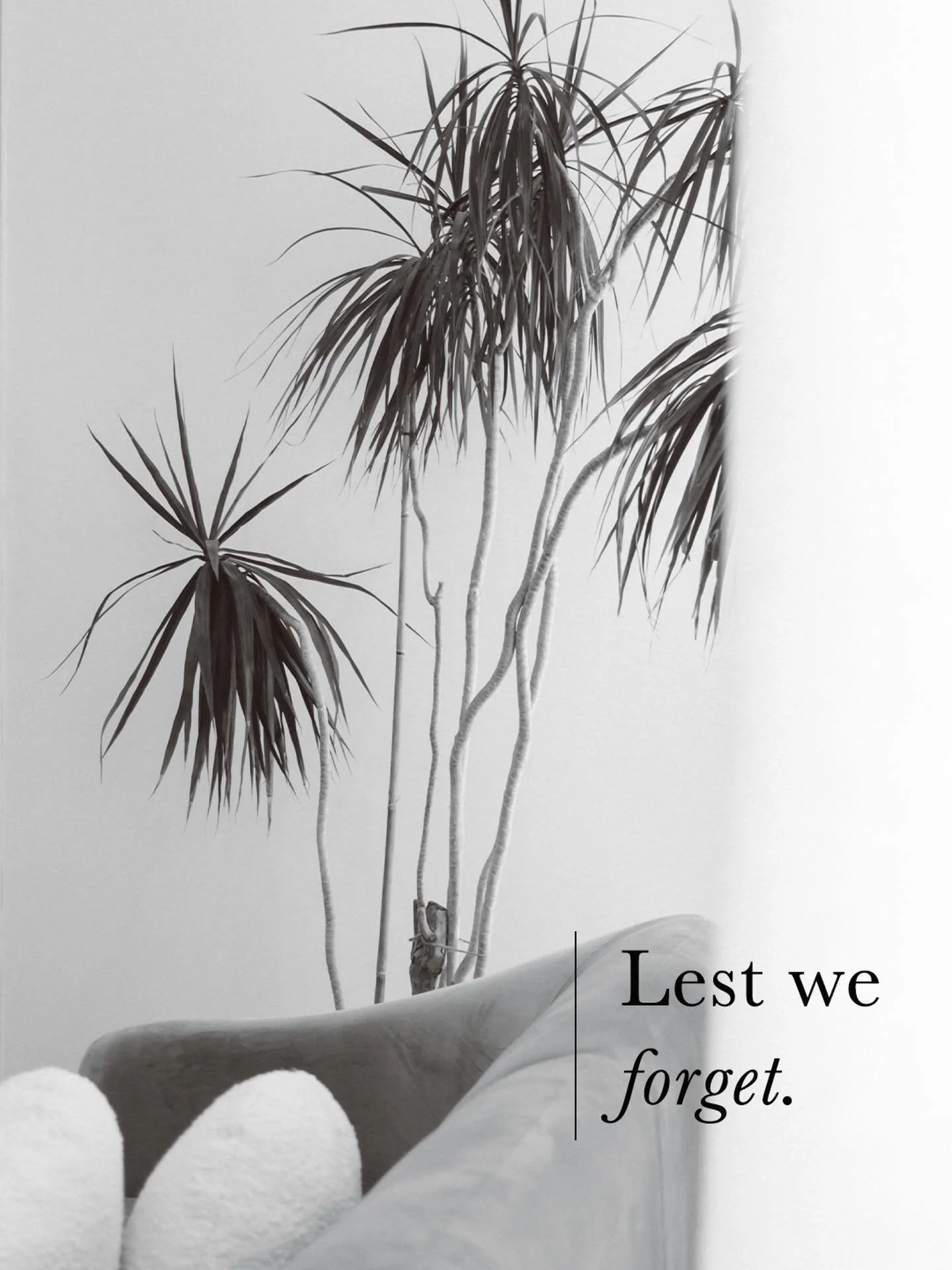Lest we forget. 

Today we honour the service and sacrifice of our armed forces. We pause to reflect in the courage, resilience and dedication of those who have served and continue to serve our country. Their legacy lives on in the freedoms we are pr