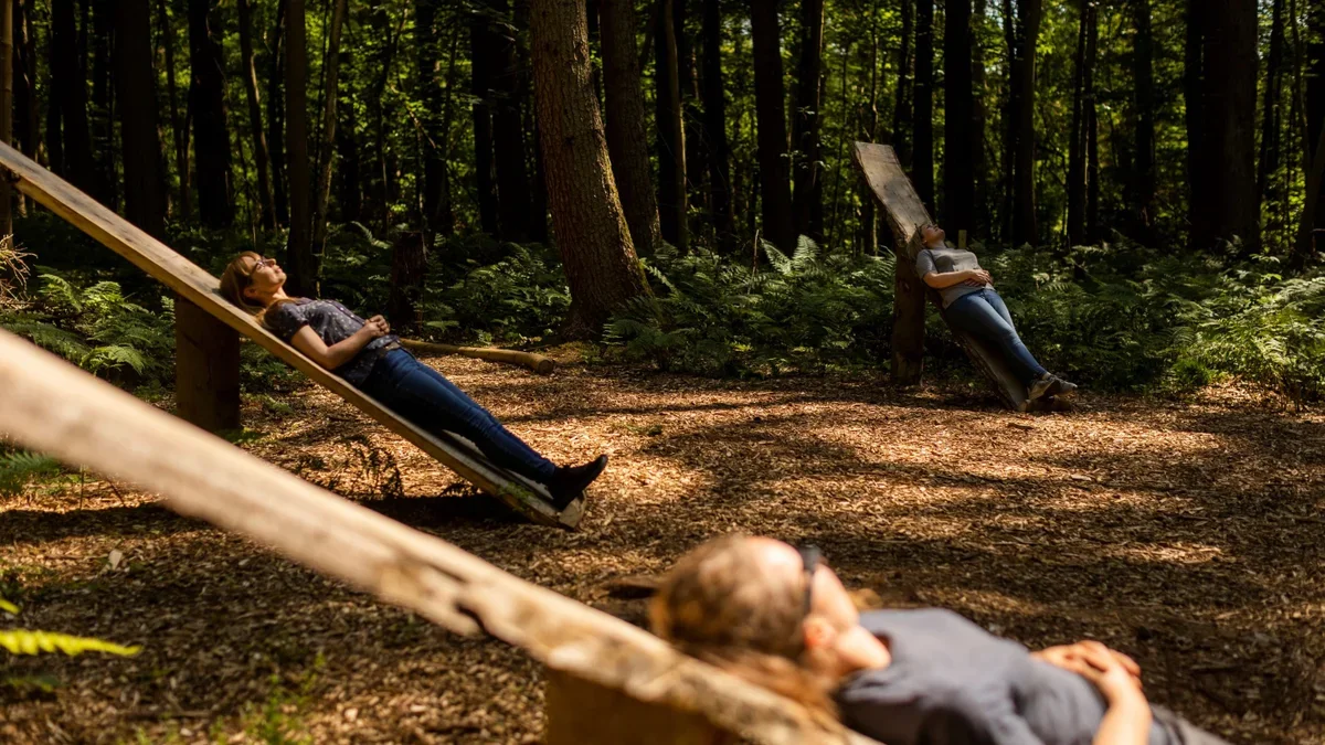 Forest Immersion Experience Group