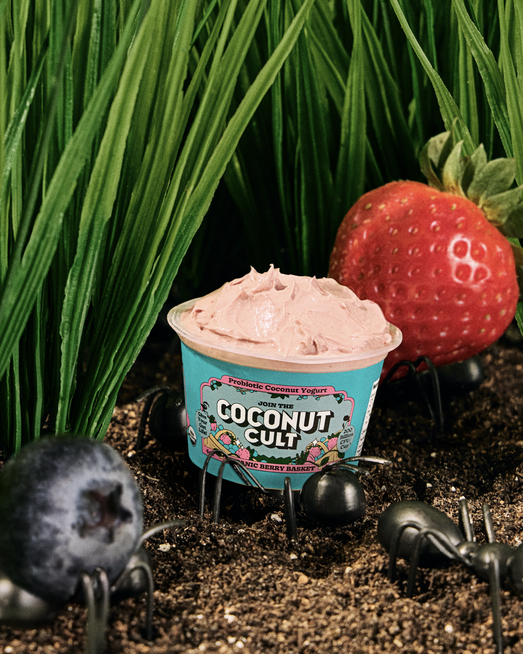 slow-sunday-creatives-claire-bruhl-coconut-cult-33.png