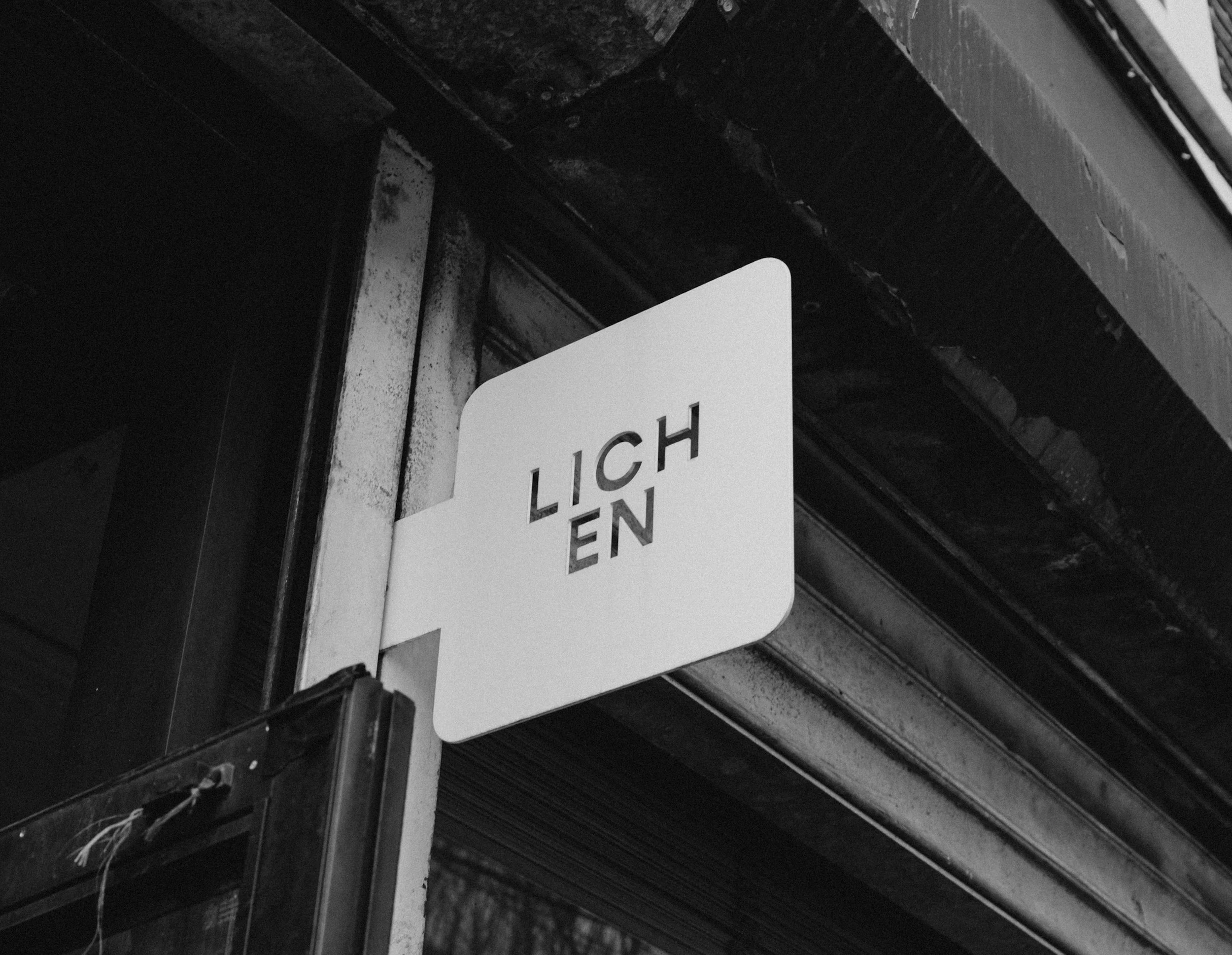 slow-sunday-creatives-kris-ryan-druthers-lichen26.png