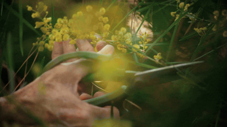 slow-sunday-creatives-kris-ryan-coop-lifestyle-2025-53.gif