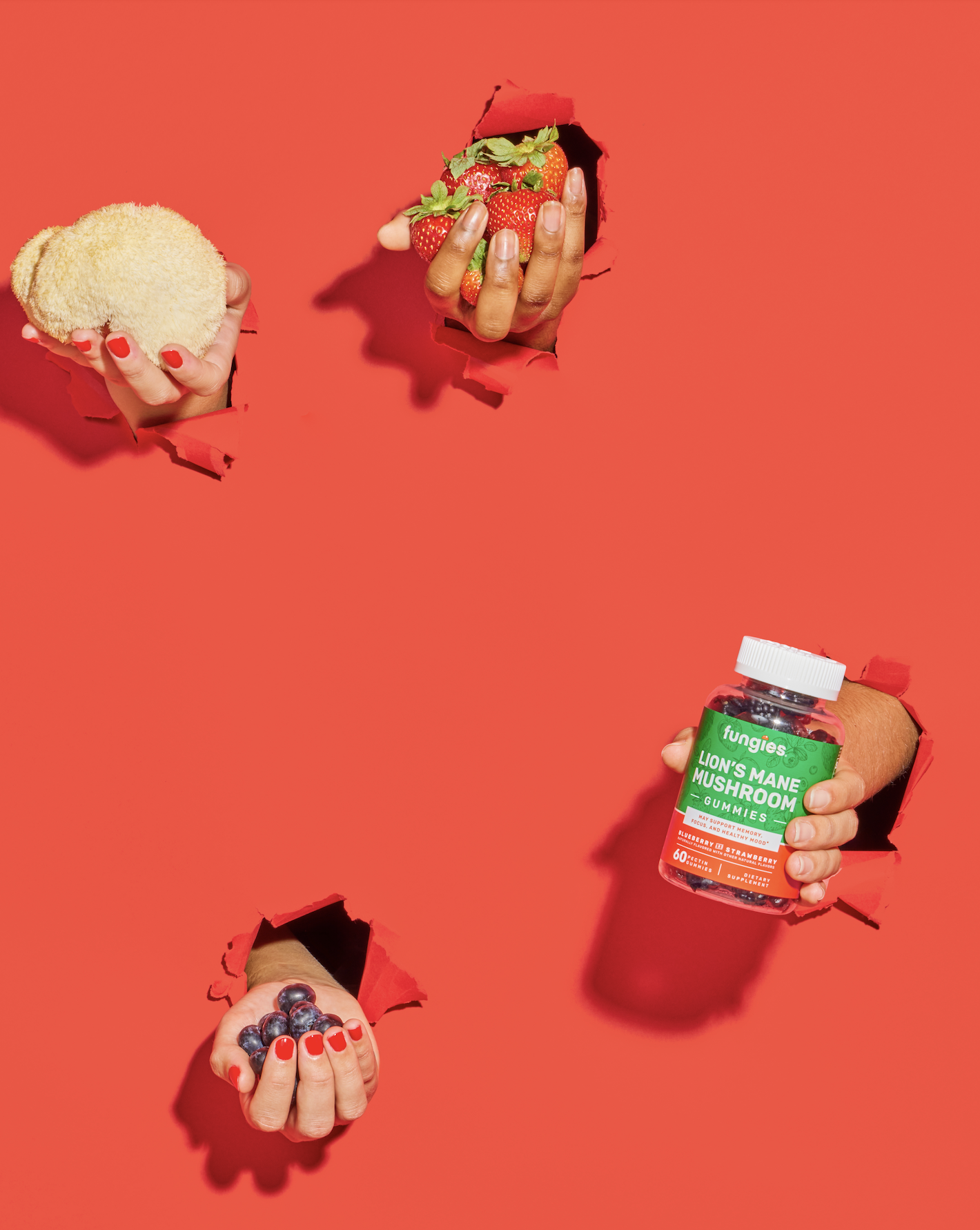 slow-sunday-creatives-claire-bruhl-fungies-42.png