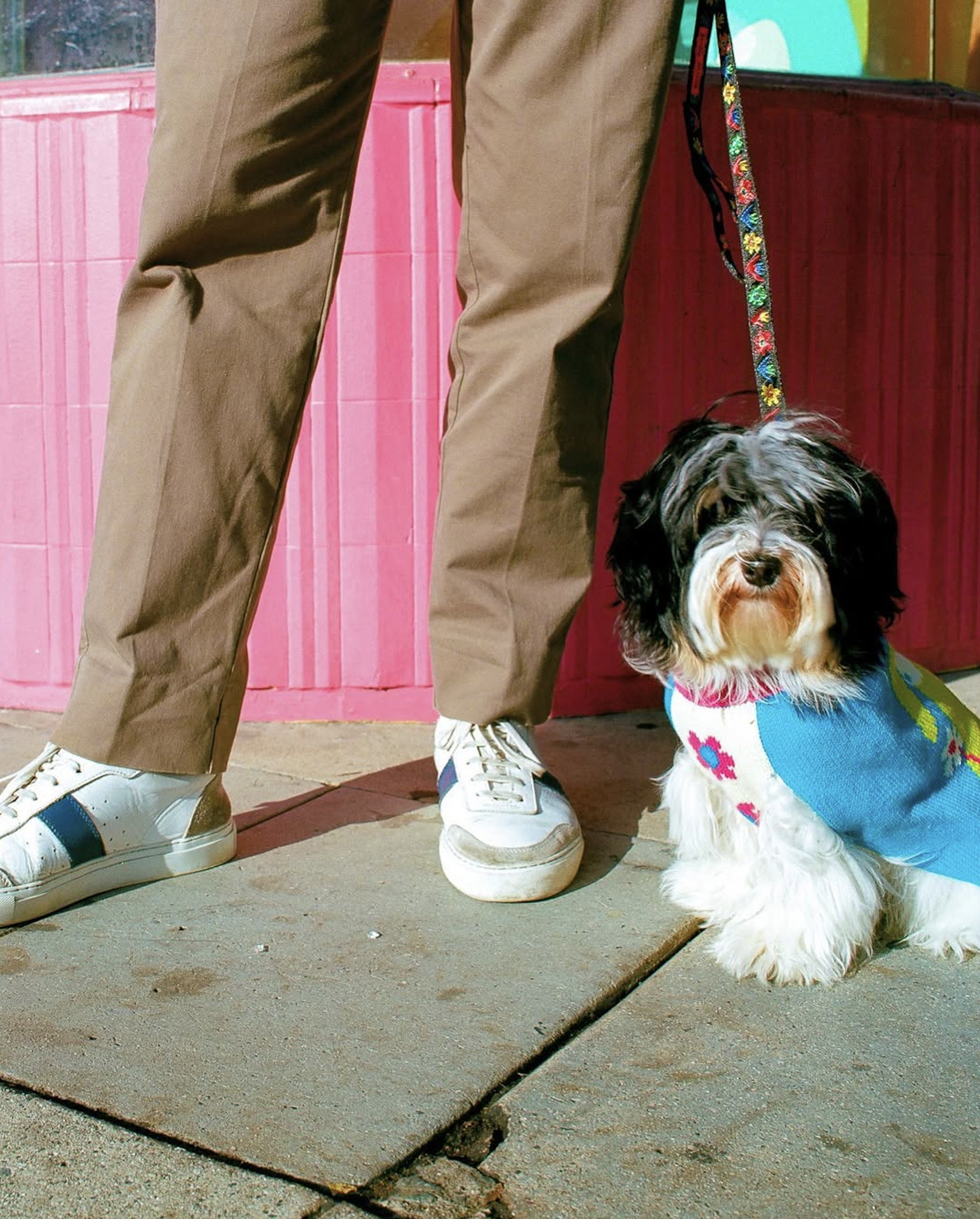 slow-sunday-creatives-amanda-adam-gentle-thrills-pups-5.png
