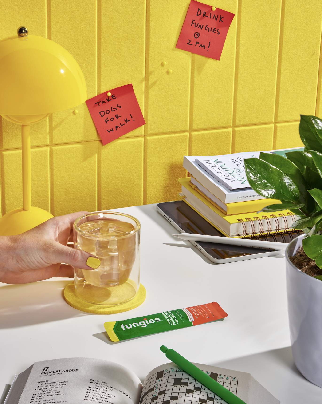 slow-sunday-creatives-claire-bruhl-fungies-1.png