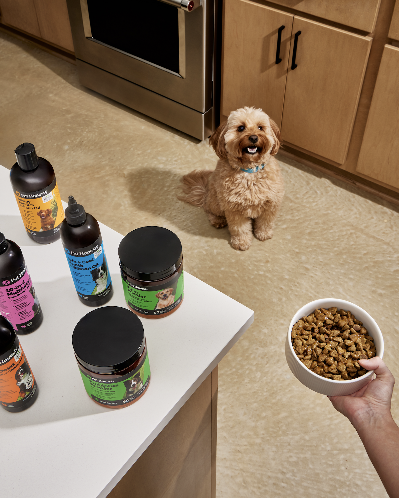 slow-sunday-creatives-claire-bruhl-pet-honesty-8.png