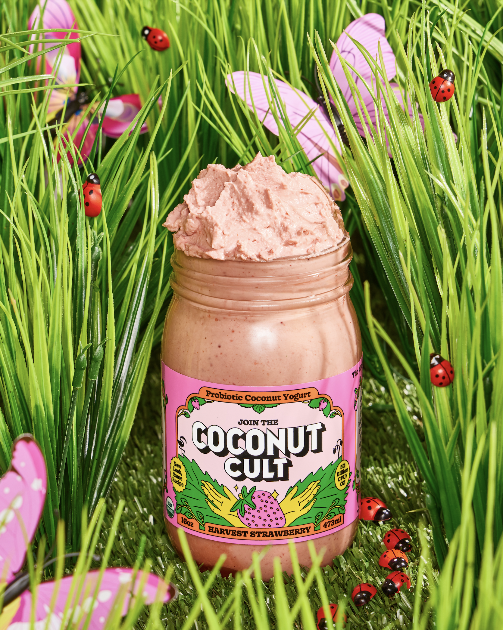 slow-sunday-creatives-claire-bruhl-coconut-cult-28.png