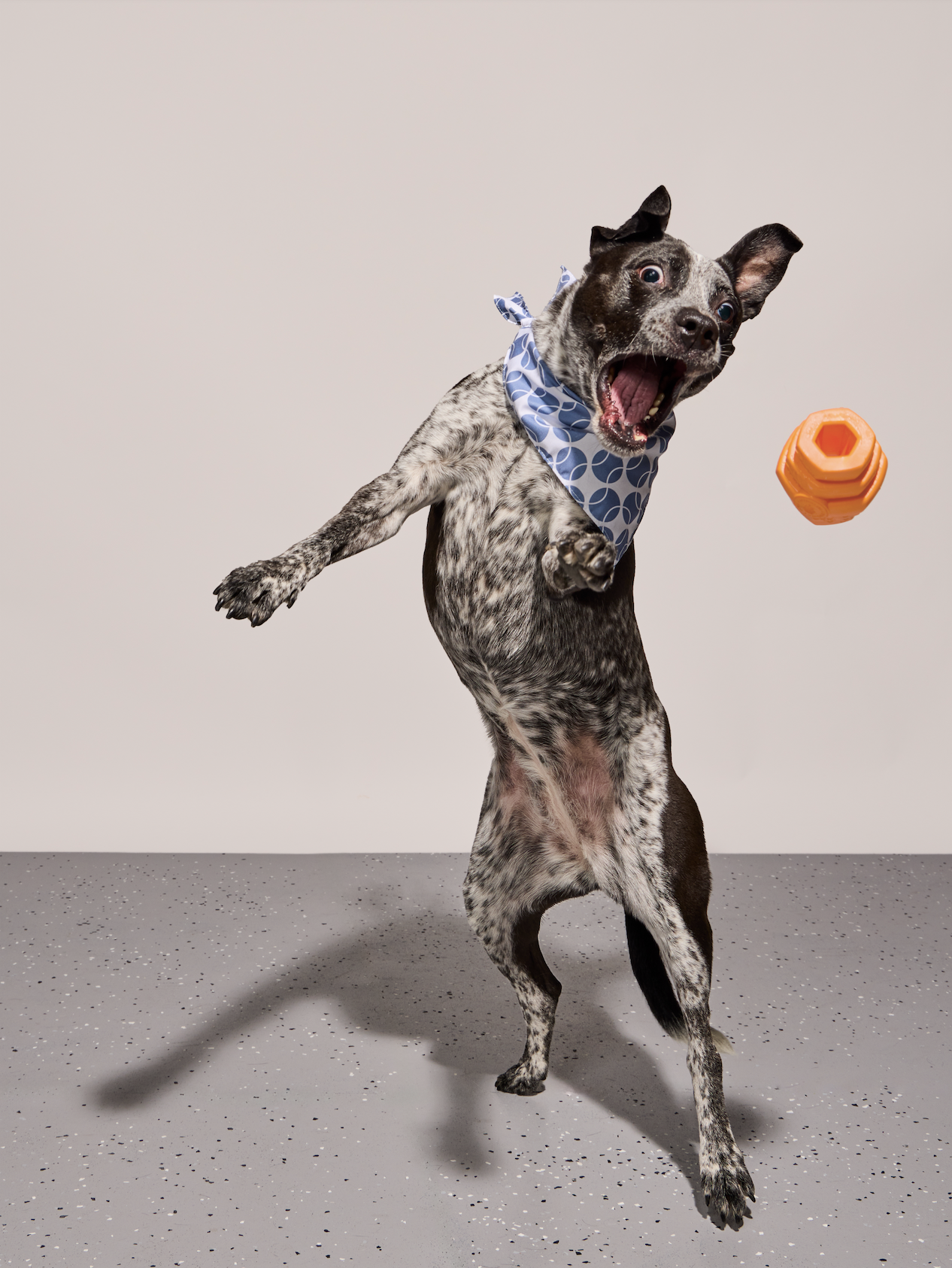 slow-sunday-creatives-claire-bruhl-yardstick-9.png