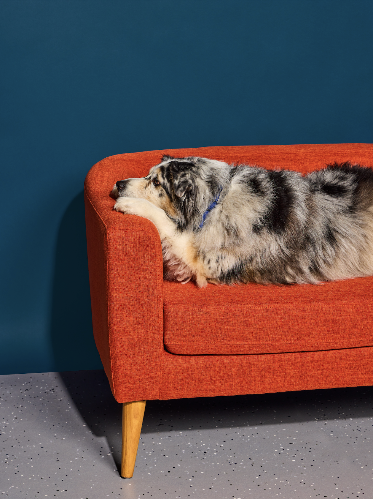 slow-sunday-creatives-claire-bruhl-yardstick-3.png