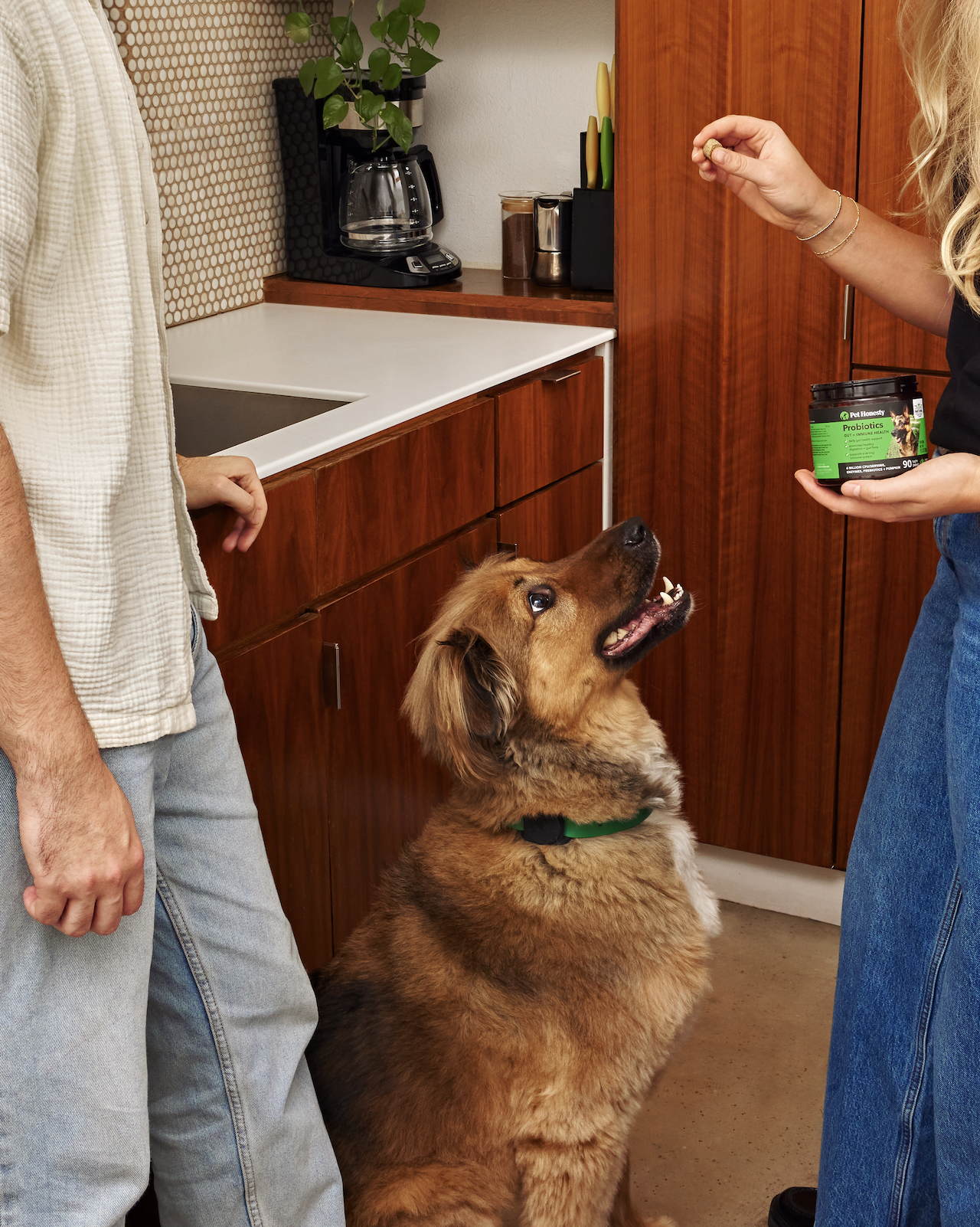 slow-sunday-creatives-claire-bruhl-pet-honesty-56.png