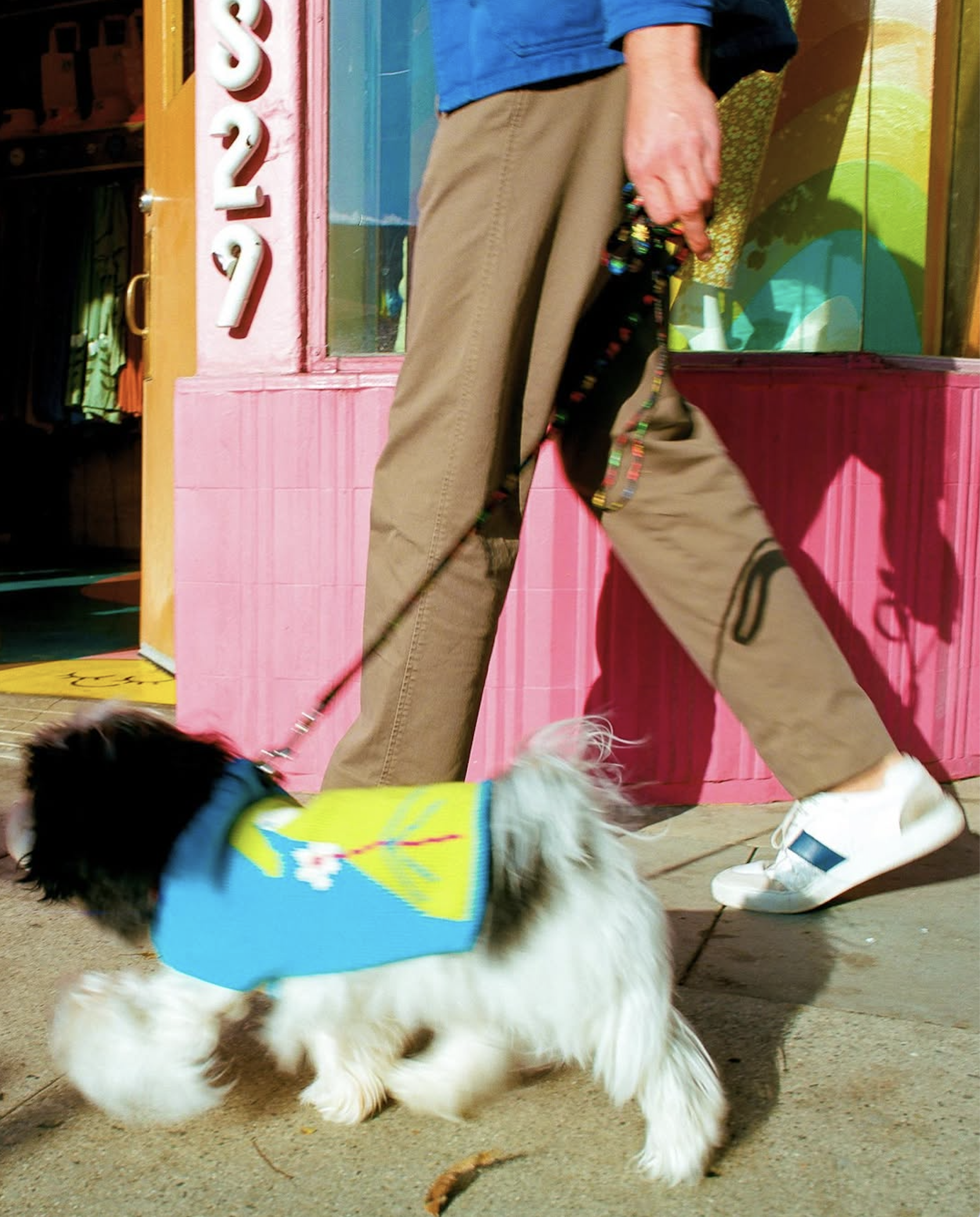 slow-sunday-creatives-amanda-adam-gentle-thrills-pups-8.png
