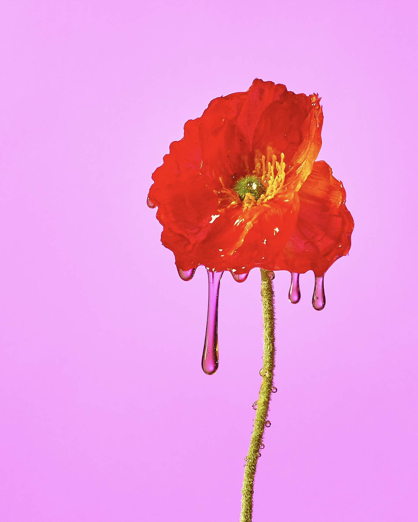slow-sunday-creatives-claire-bruhl-mellody-honey-12.png