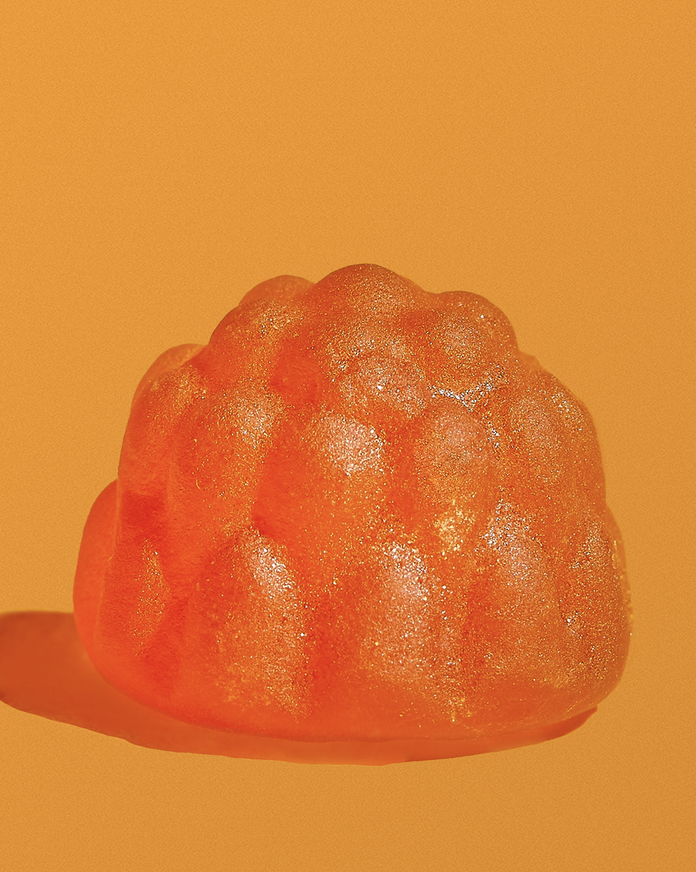 slow-sunday-creatives-claire-bruhl-fungies-47.png