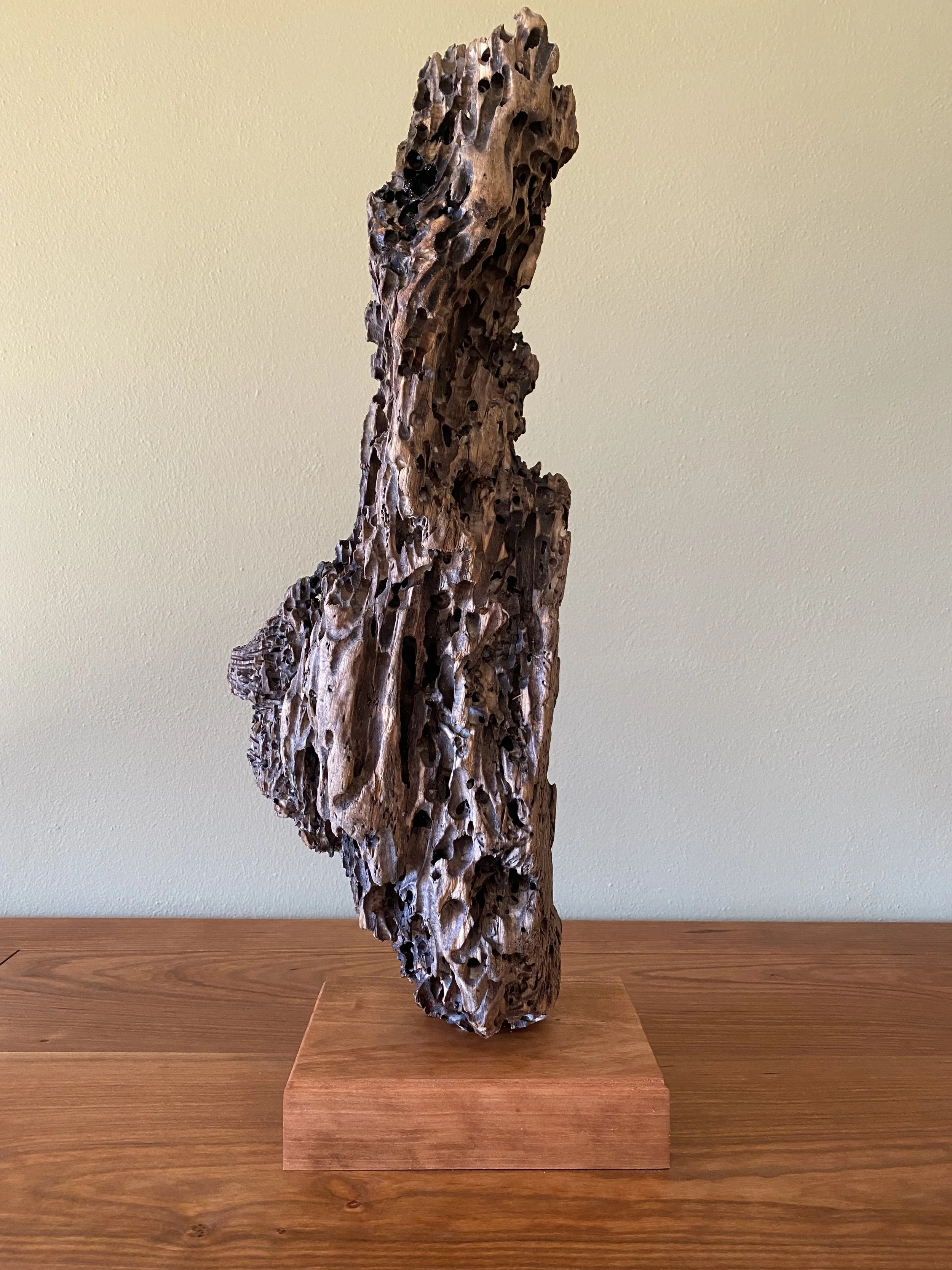 A SHIPWORM TOWER I driftwood on a cherry base