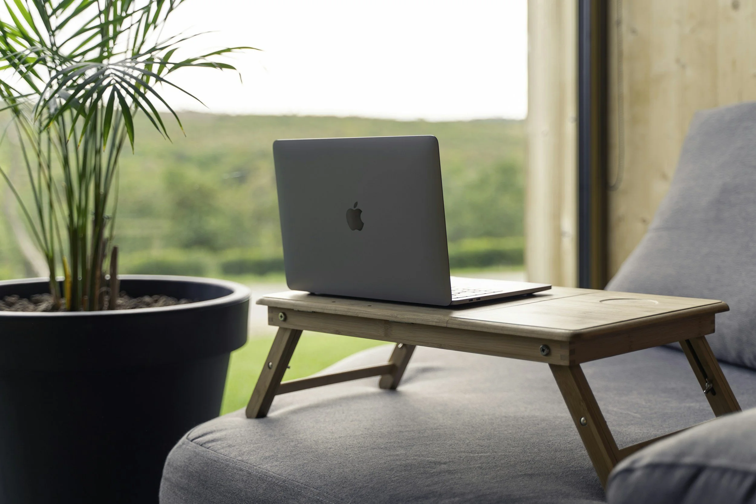 A laptop is on a small wooden table placed on a sofa in front of a large window with a view of green trees and grass outside, with a large potted plant nearby.
