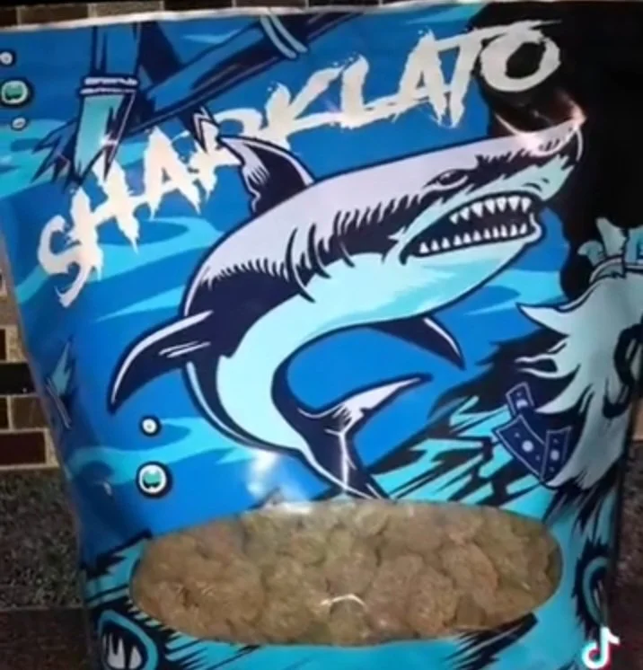 SHARKLATO