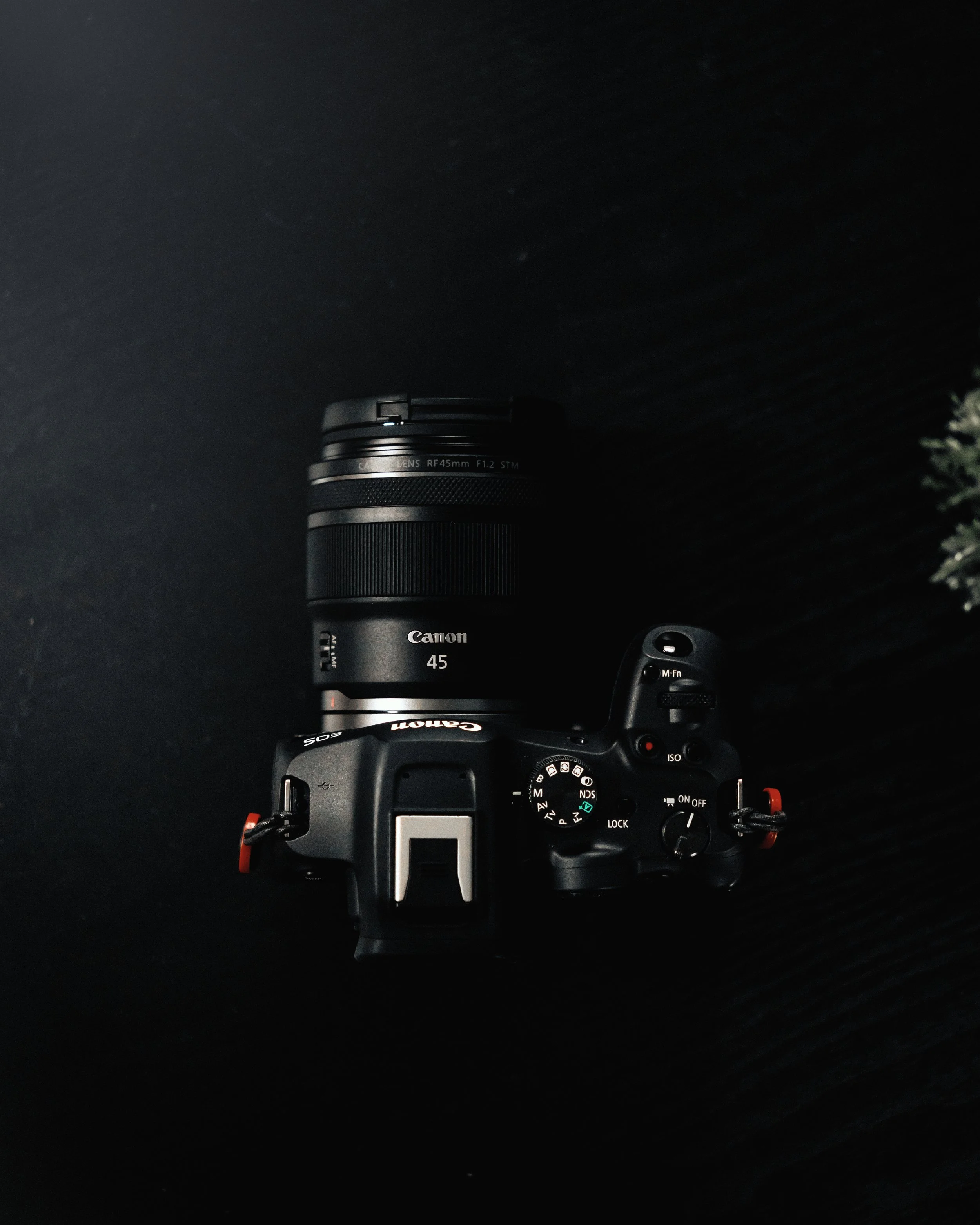 Top-down view of a Canon DSLR camera with a 45mm lens attached, placed on a black surface with a small plant at the top right corner.