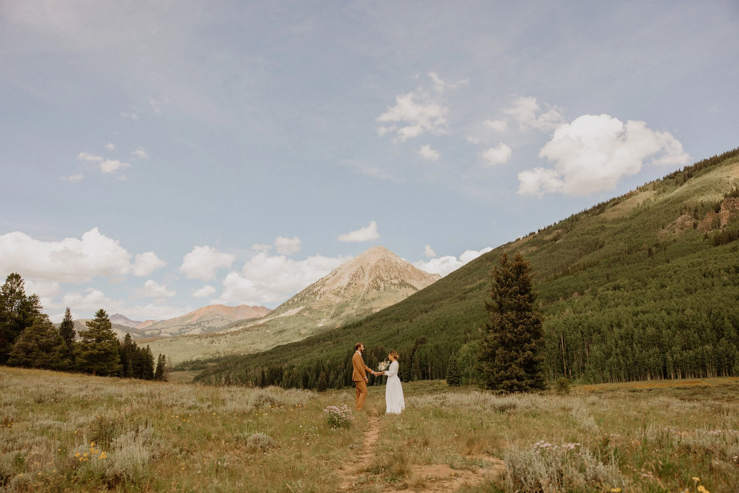 A couple dressed in wedding attire, holding hands and standing in a green field with mountains and trees in the background during the daytime.