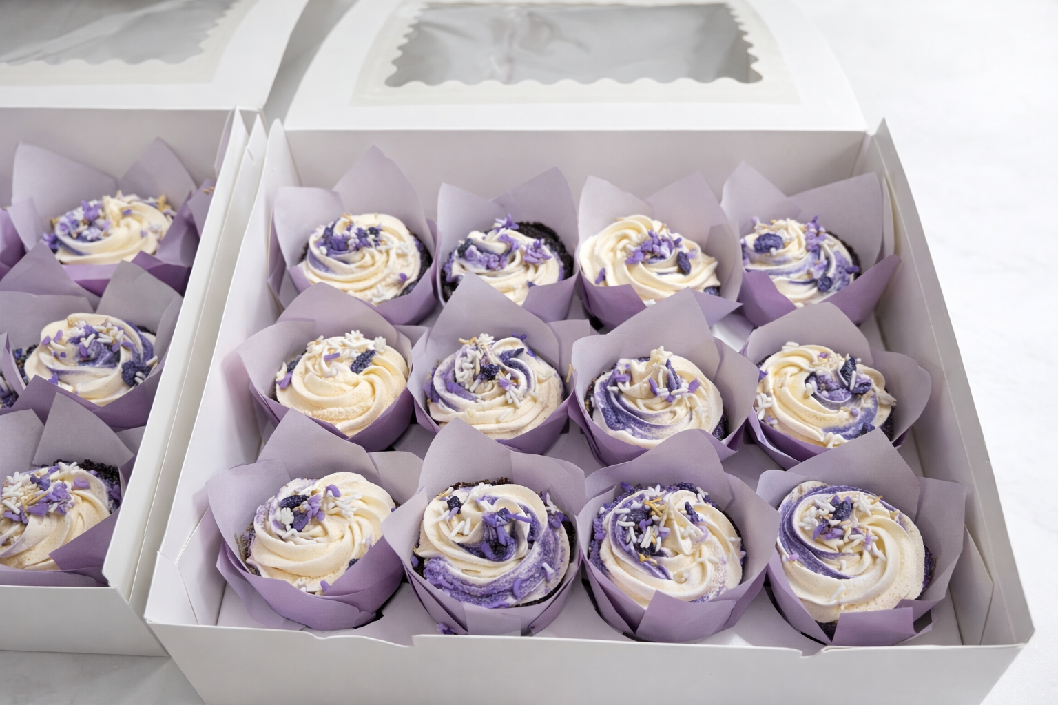 ChatGPT Image Mar 3, 2026, 04_30_03 PM.png