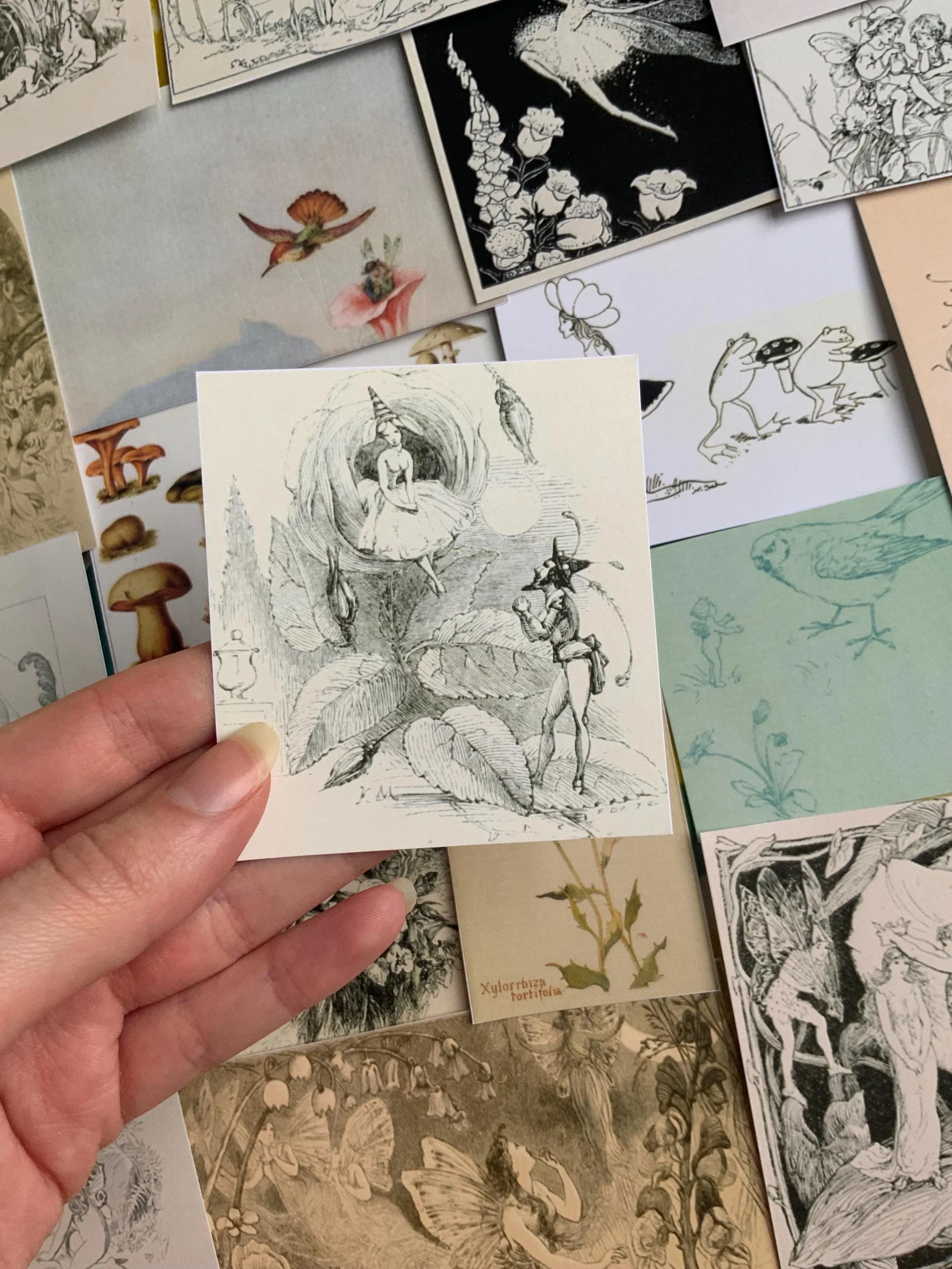 A hand holding a small illustrated card of a fairy-like figure sitting inside a large flower, surrounded by leaves and other fairy illustrations.