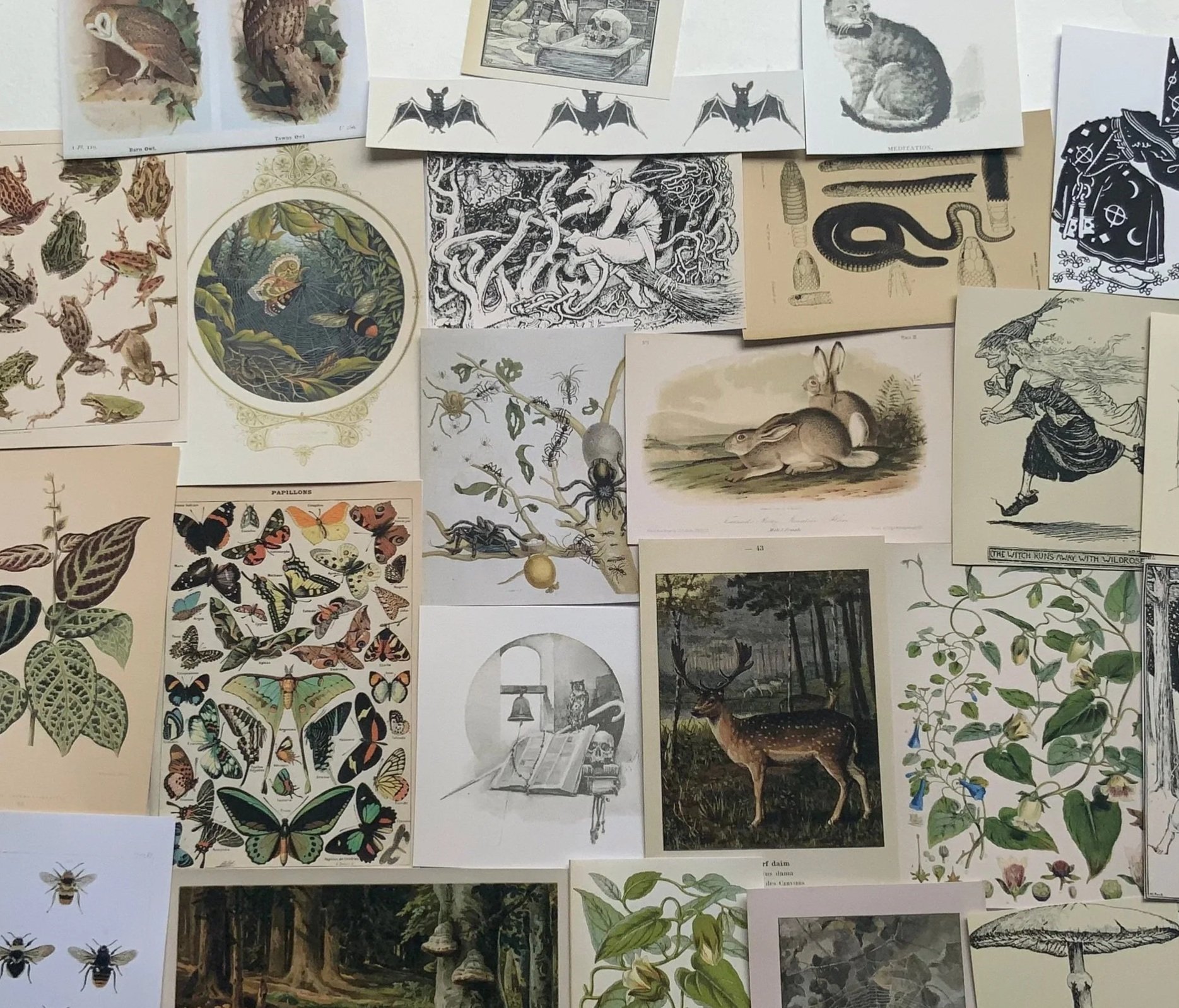 Green Witch & Woodland Grimoire Vintage Paper Pack – Set of 24