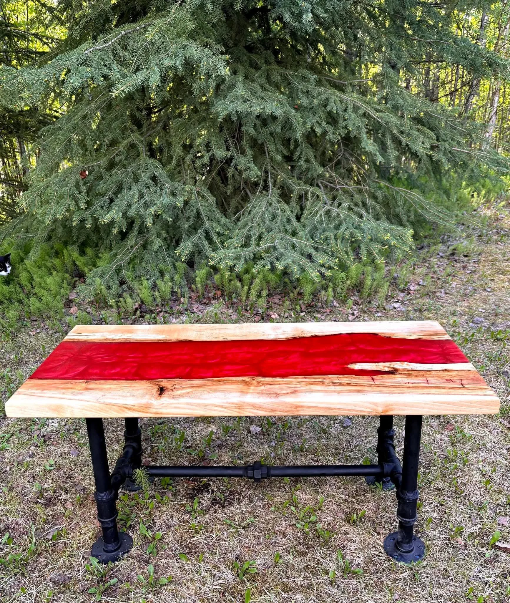 1000017997.jpg