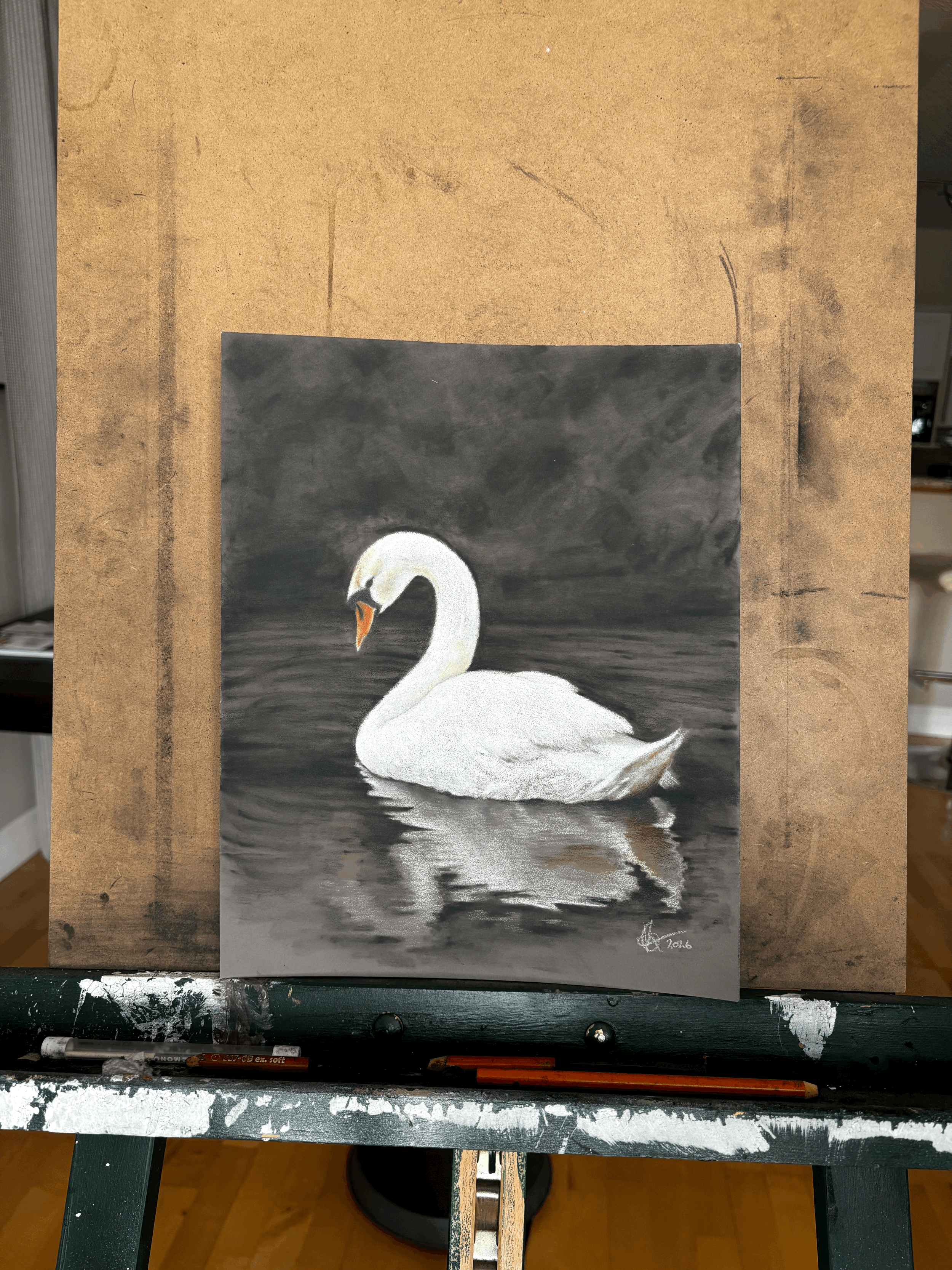 Echos of the White Swan