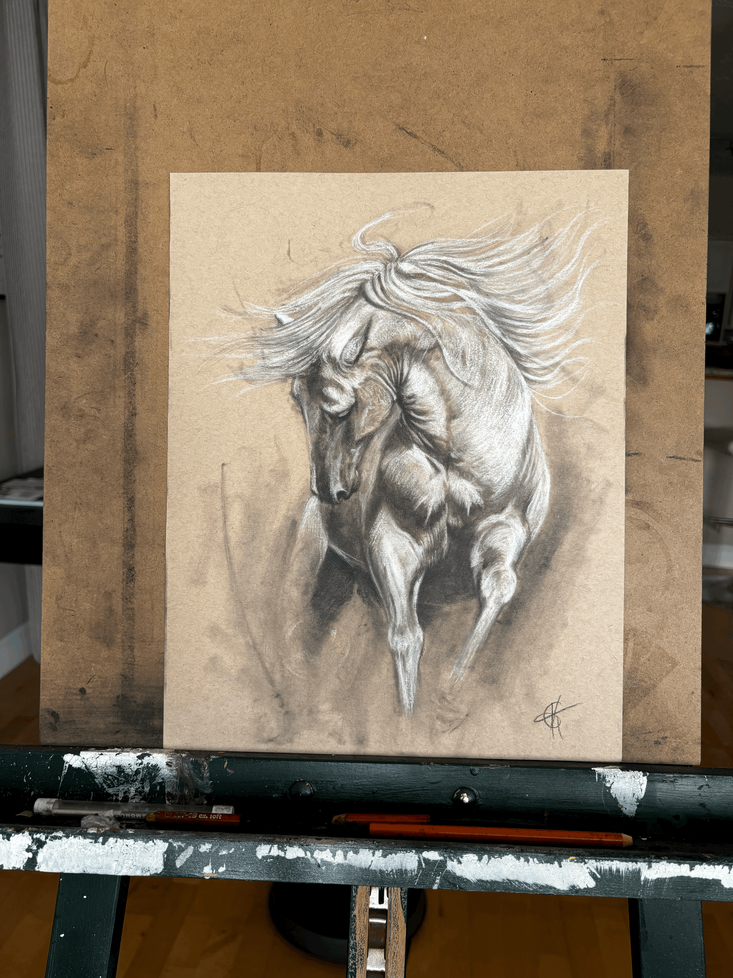 Power and Grace in Motion