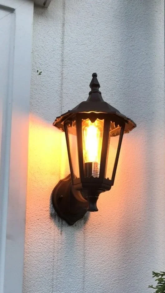 Outdoor lighting attracting insects and spider activity near Saratoga Springs home