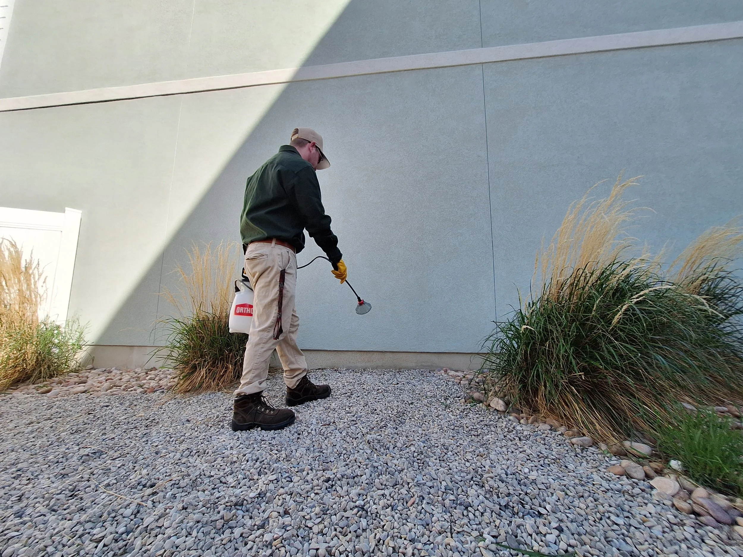 Local pest control technician performing spider control treatment around Utah County home